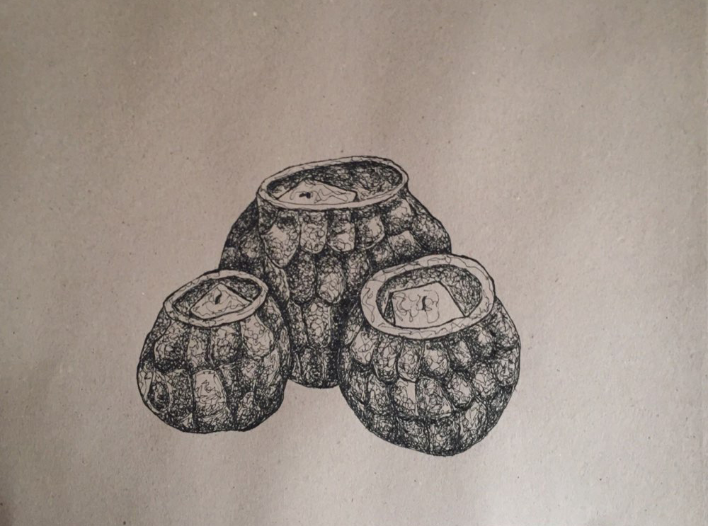 اثر شمعدانی از پوریا مرزبان اثر شمعدانی از پوریا مرزبان