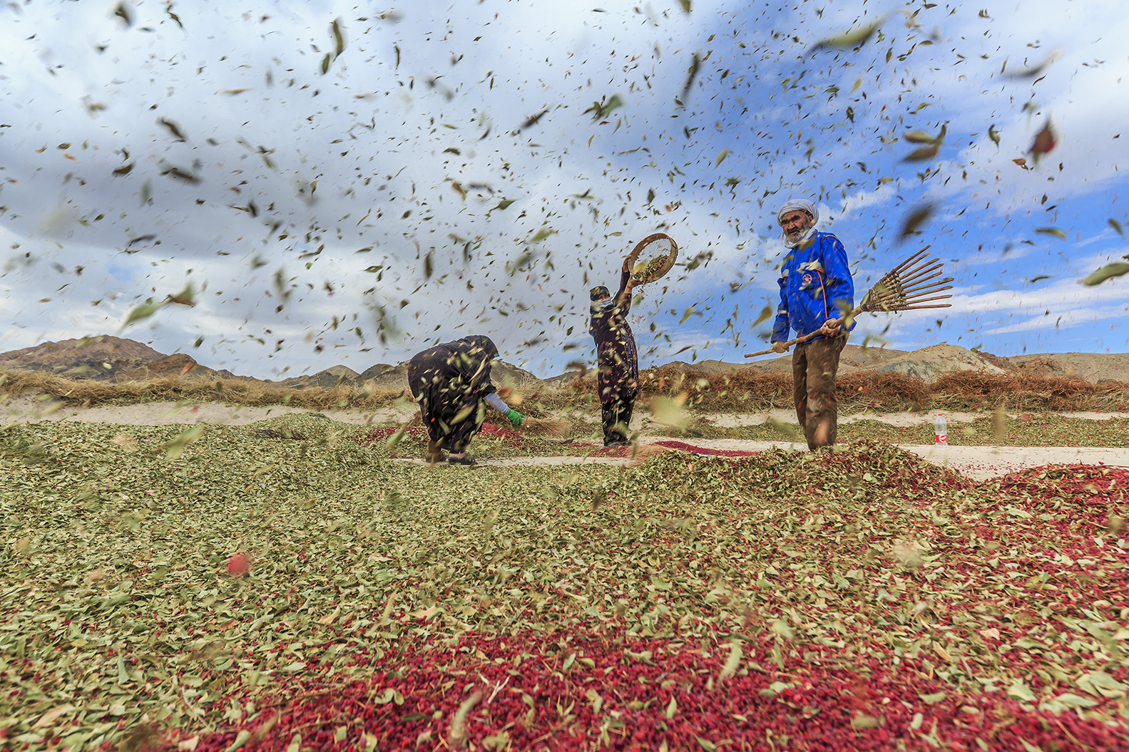 Artwork Efforts to earn a living by Majid Hojati - Maho Artwork Efforts to earn a living by Majid Hojati - Maho