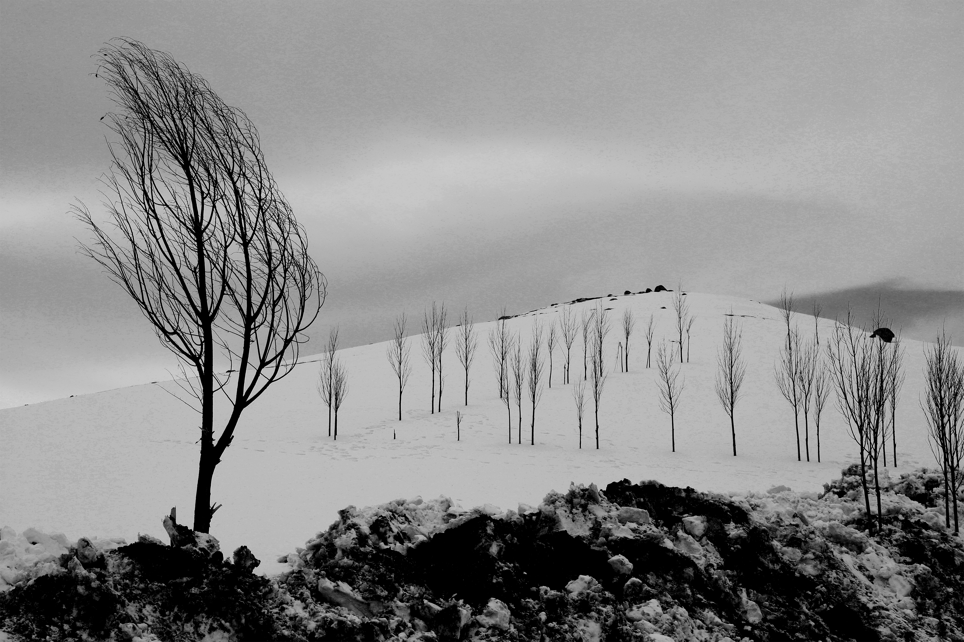 Artwork Out of line by Marjan Ghoreyshi Artwork Out of line by Marjan Ghoreyshi