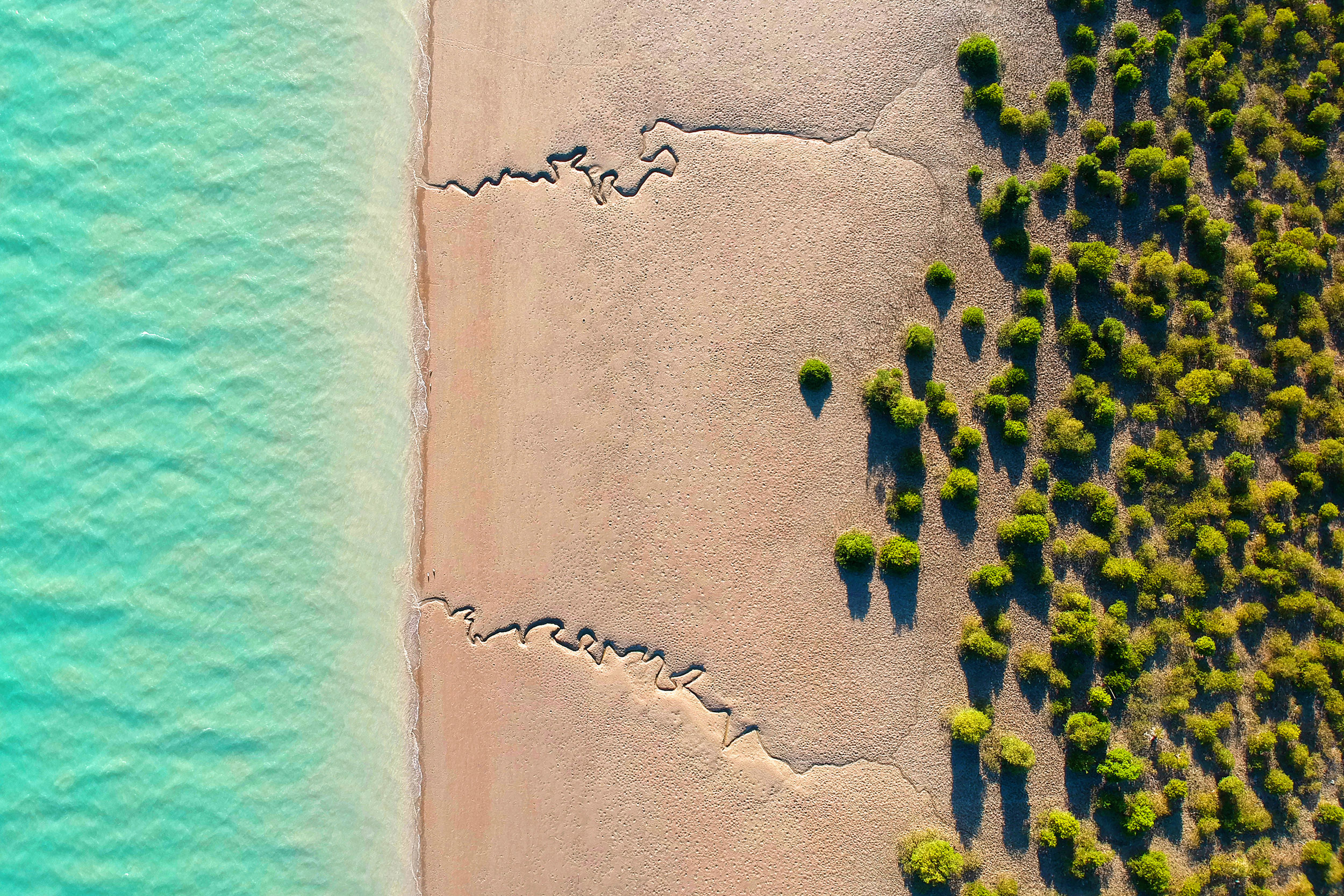 اثر دیسیپلین از سعید سالستانی اثر دیسیپلین از سعید سالستانی