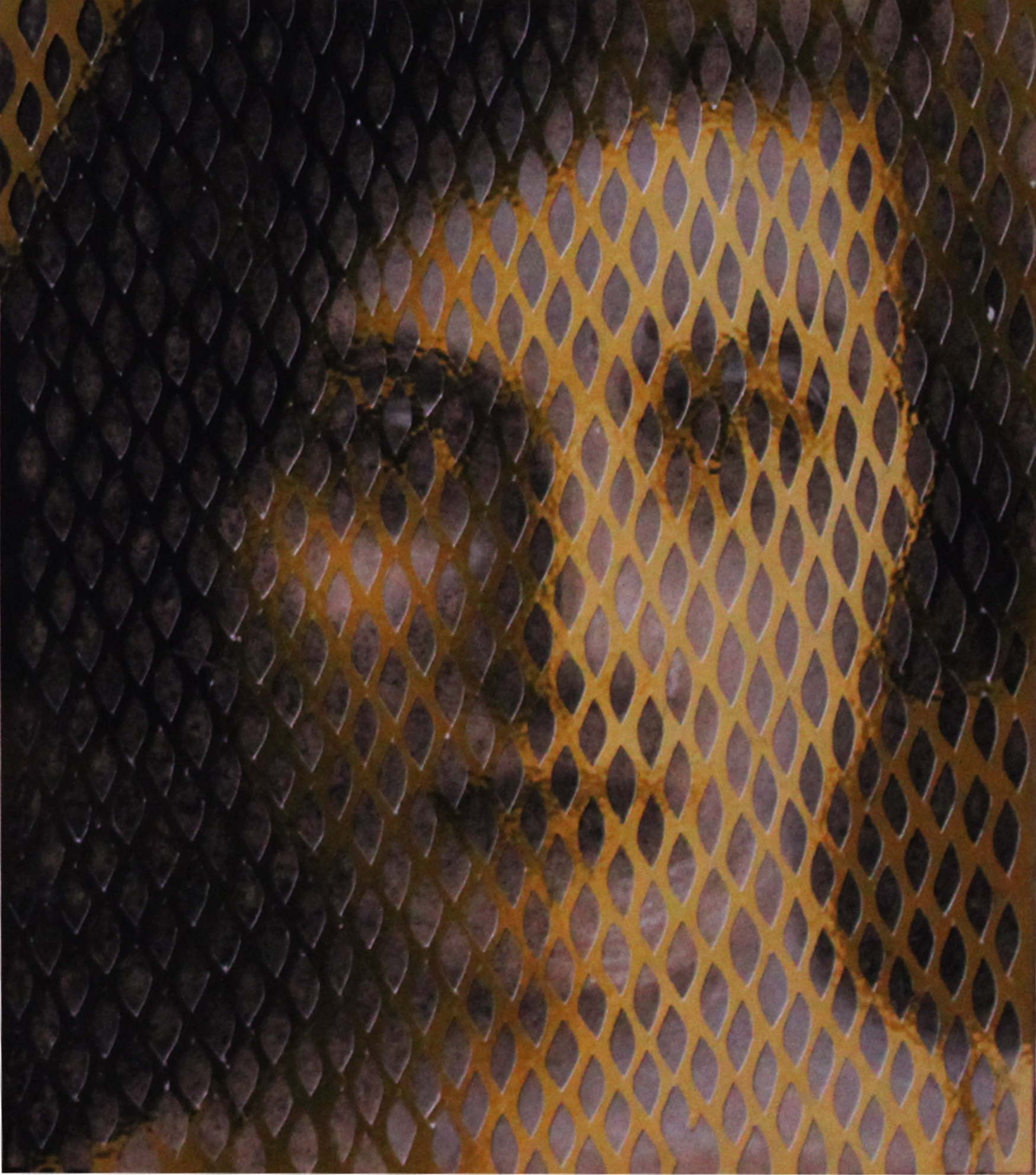 اثر از مجموعه لیلی و شیرین 9 از مهسا نجفی اثر از مجموعه لیلی و شیرین 9 از مهسا نجفی