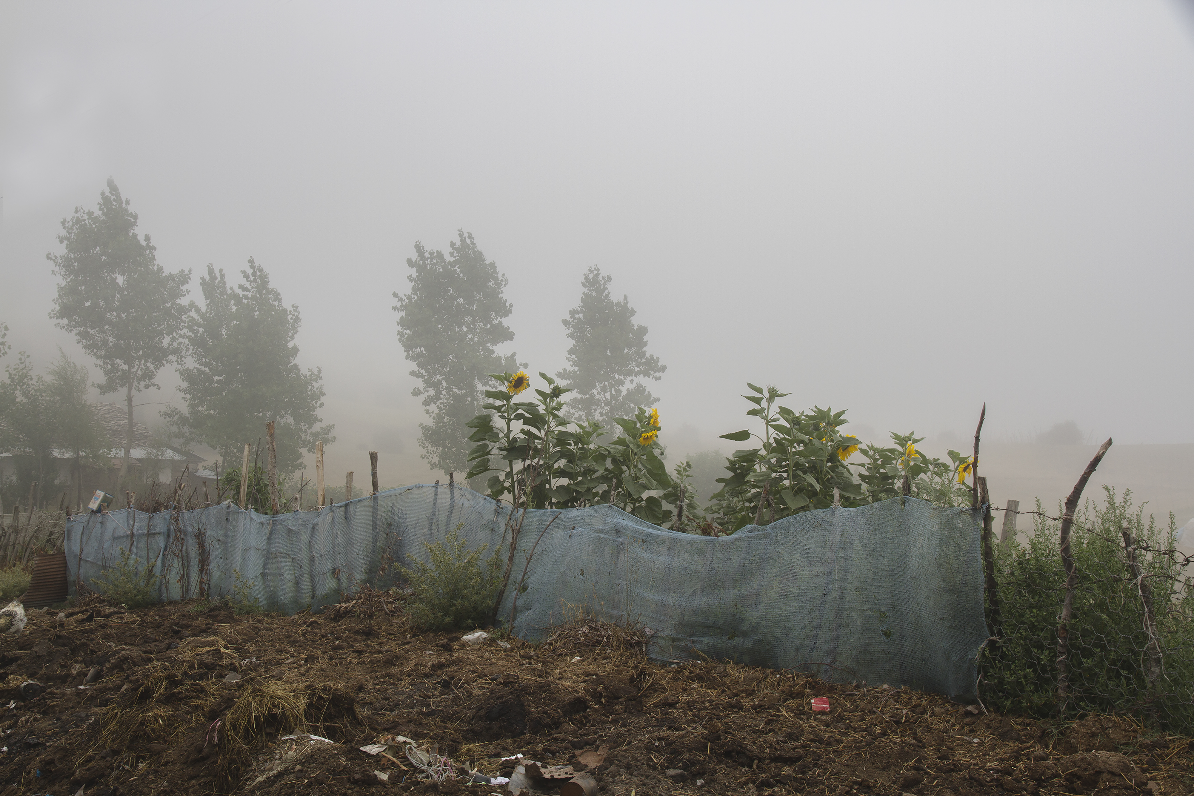 Artwork nostalgia by pegah ghadiri Artwork nostalgia by pegah ghadiri