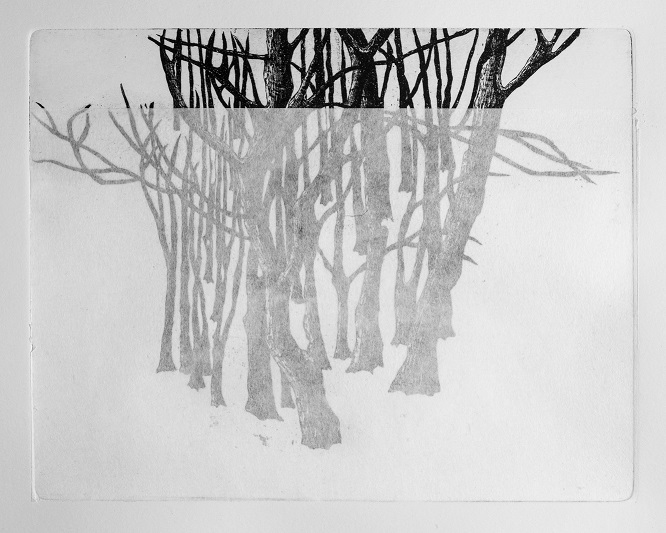 Artwork Garden of Silence 12 by Shokoufeh Fallah Artwork Garden of Silence 12 by Shokoufeh Fallah