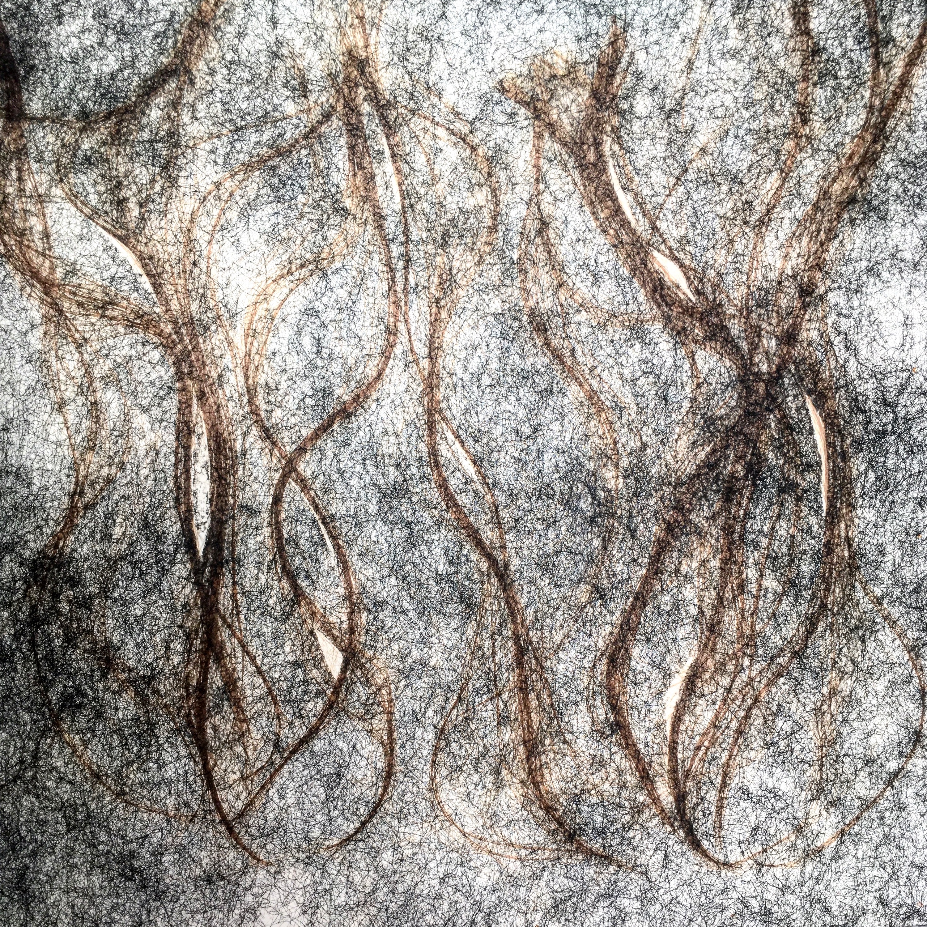 اثر بدون عنوان دو چهار از سلاله عبدل پناه اثر بدون عنوان دو چهار از سلاله عبدل پناه