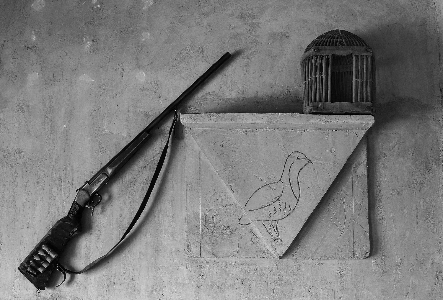 Artwork Not to hunt by abbas rahmani Artwork Not to hunt by abbas rahmani