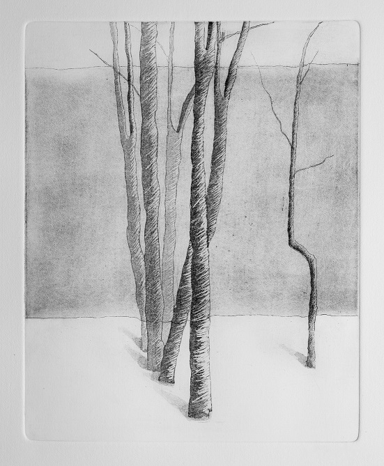 Artwork Garden of Silence 14 by Shokoufeh Fallah Artwork Garden of Silence 14 by Shokoufeh Fallah