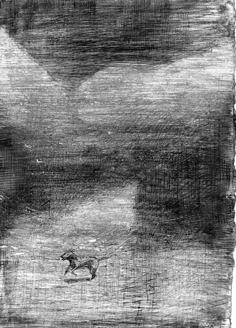 اثر بدون عنوان 2 از آتنا فریدونی اثر بدون عنوان 2 از آتنا فریدونی