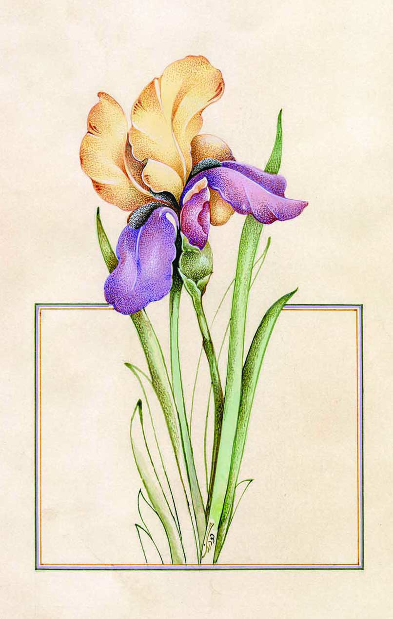 Artwork flower3 by maryam goodarzi Artwork flower3 by maryam goodarzi