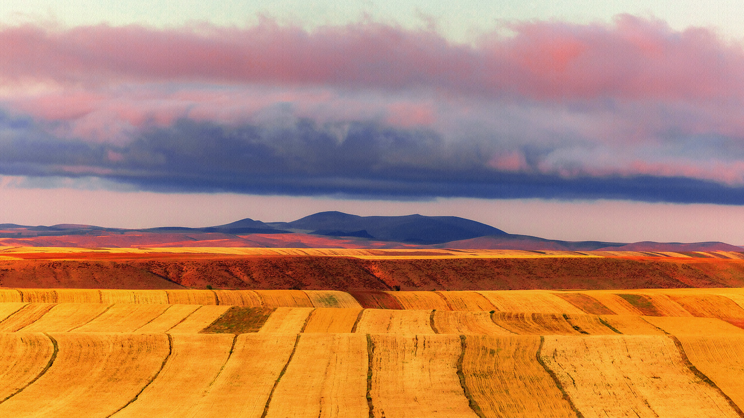 اثر از مجموعه "در مسیر رویا" شماره 5 از مجید حجتی (ماهو) اثر از مجموعه "در مسیر رویا" شماره 5 از مجید حجتی (ماهو)