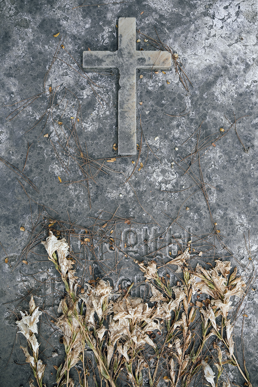 اثر از مجموعه "گل های مرده" شماره 01 از مجید حجتی (ماهو) اثر از مجموعه "گل های مرده" شماره 01 از مجید حجتی (ماهو)