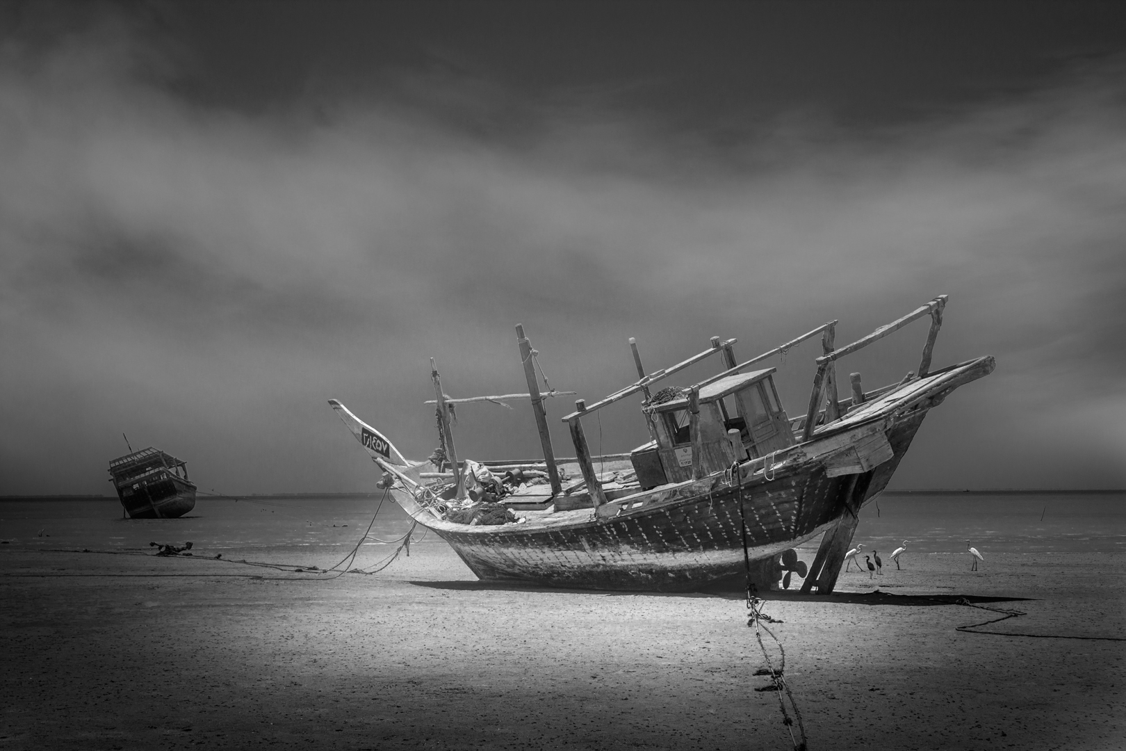 Artwork emeritus one by Shahram Jahansooz Artwork emeritus one by Shahram Jahansooz