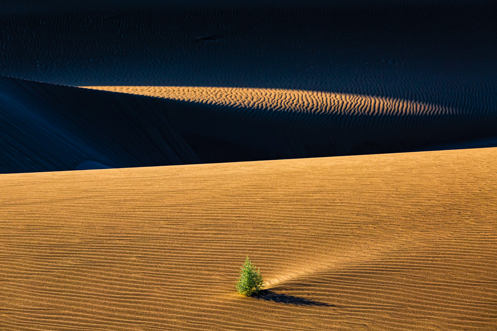 اثر اشک سبز از مجید حجتی (ماهو) اثر اشک سبز از مجید حجتی (ماهو)