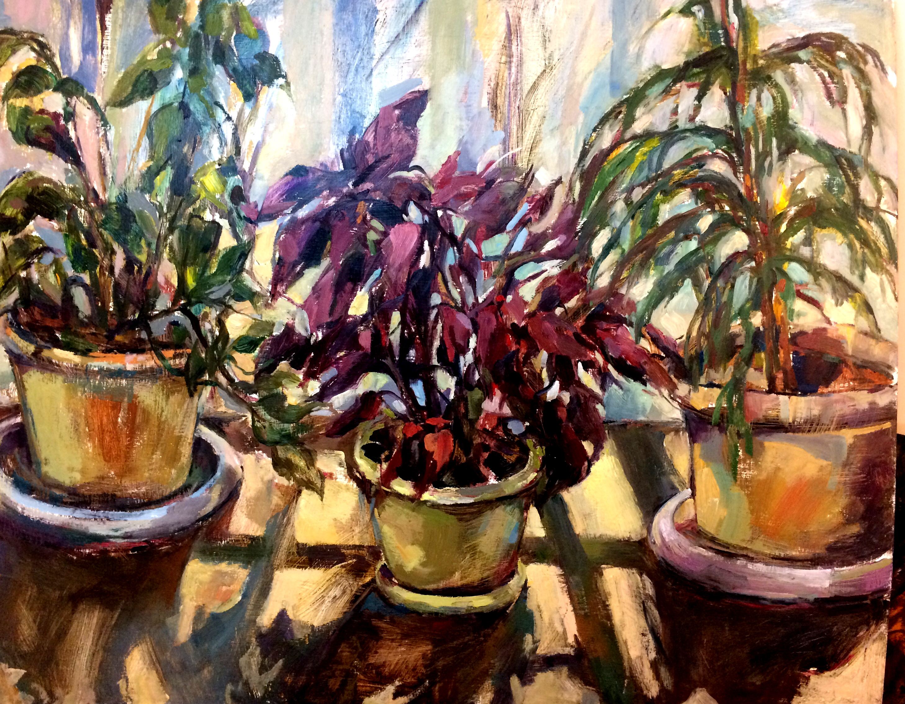 اثر گلدانها در تابستان از یاسمن ثروتیان اثر گلدانها در تابستان از یاسمن ثروتیان