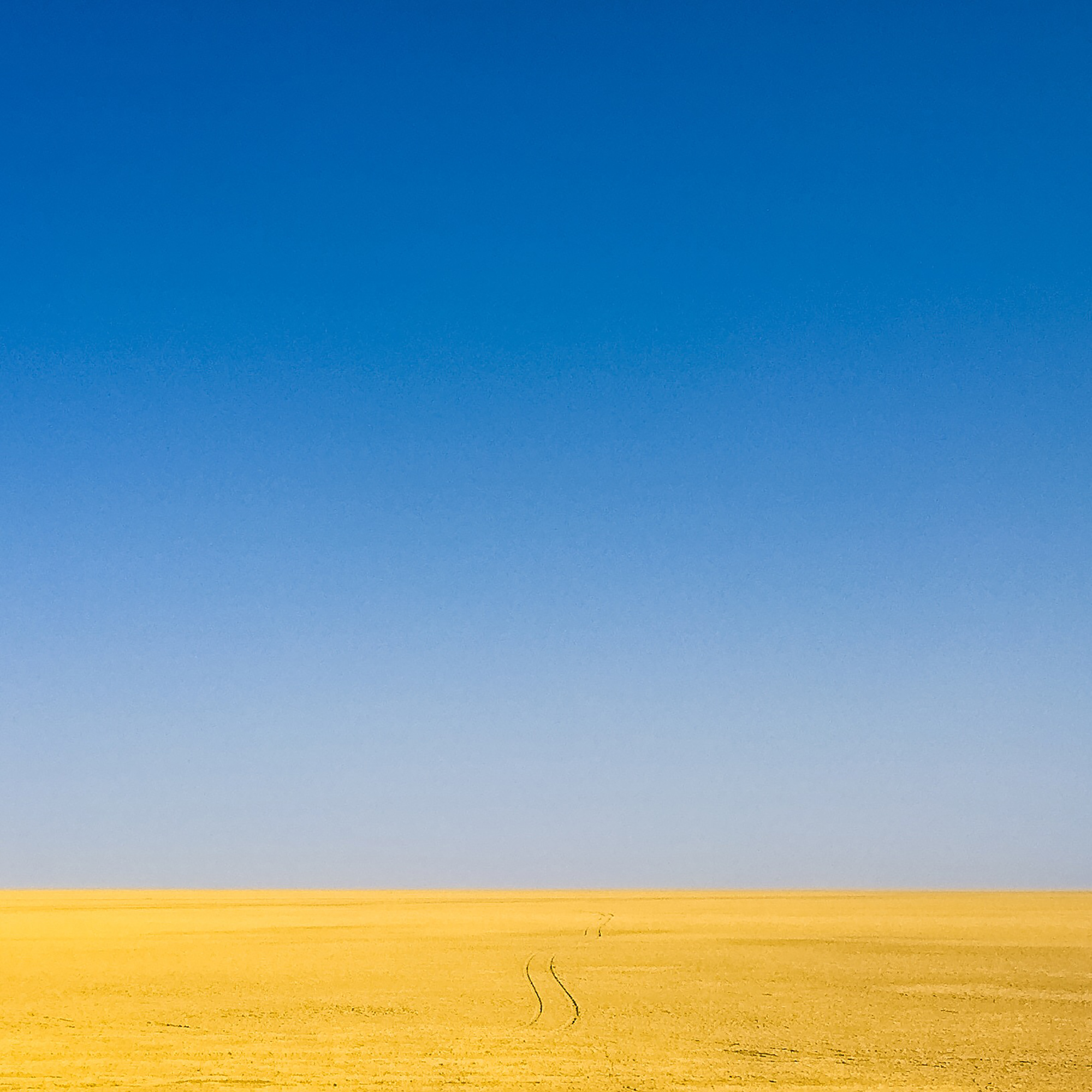 اثر مسیر از مجید شقایی فلاح اثر مسیر از مجید شقایی فلاح