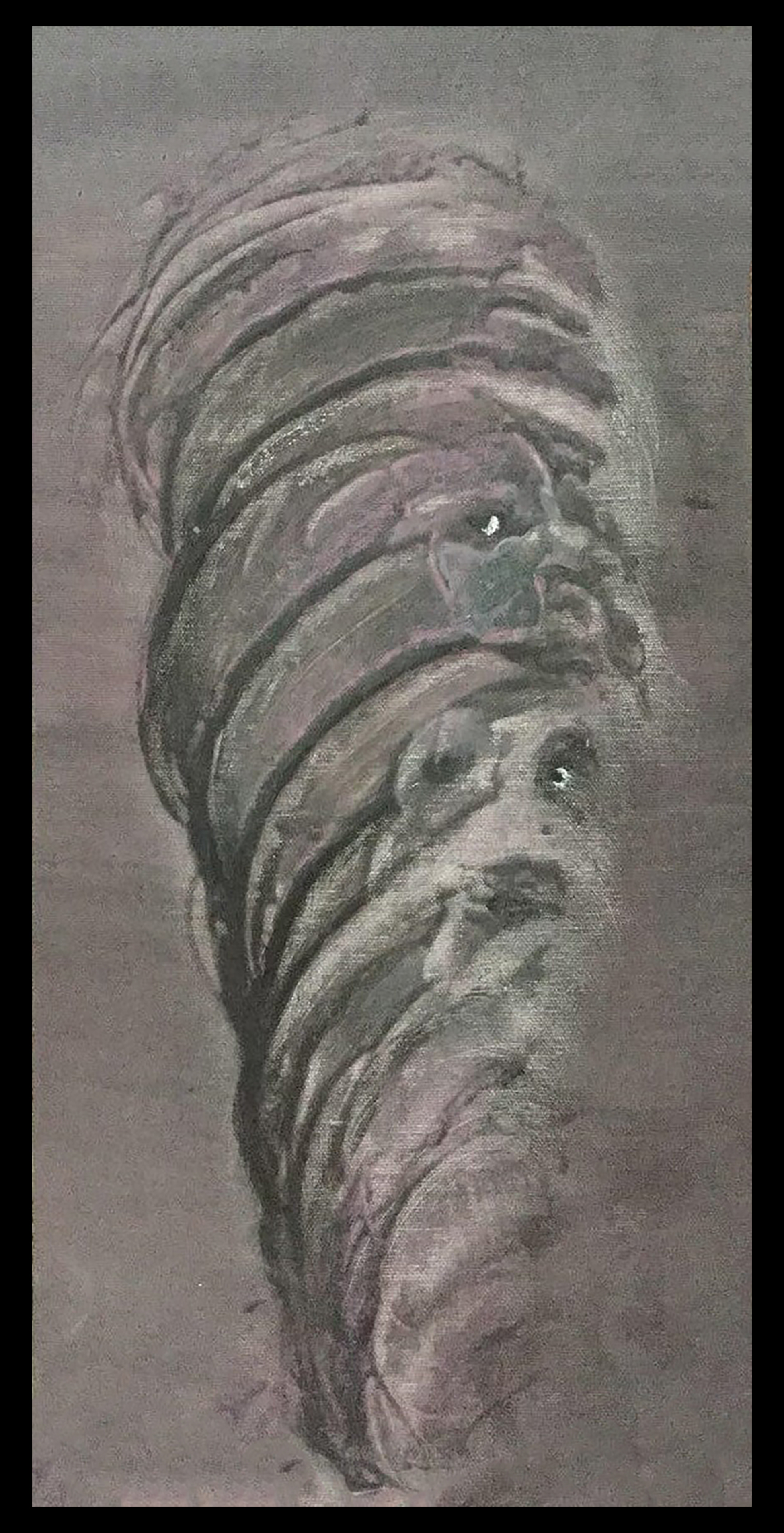 Artwork Lice -Sense by Hormoz Mohammadpour Artwork Lice -Sense by Hormoz Mohammadpour