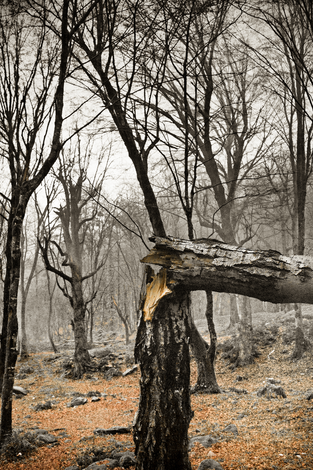 Artwork I Break by Mehdi Arastouei Artwork I Break by Mehdi Arastouei