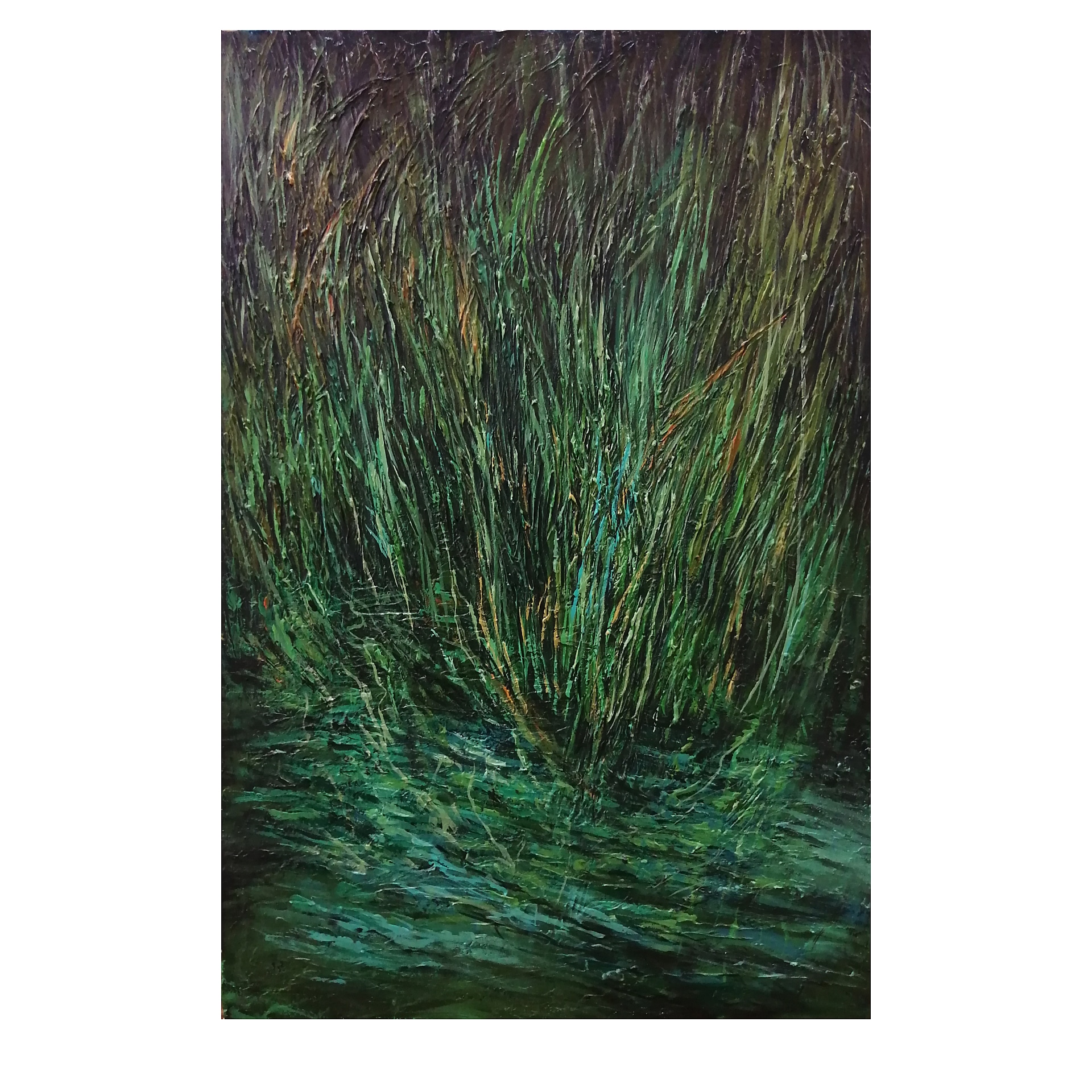 از مجموعه نی زار6 | | فروشگاه آثار هنری از مجموعه نی زار6 | | فروشگاه آثار هنری