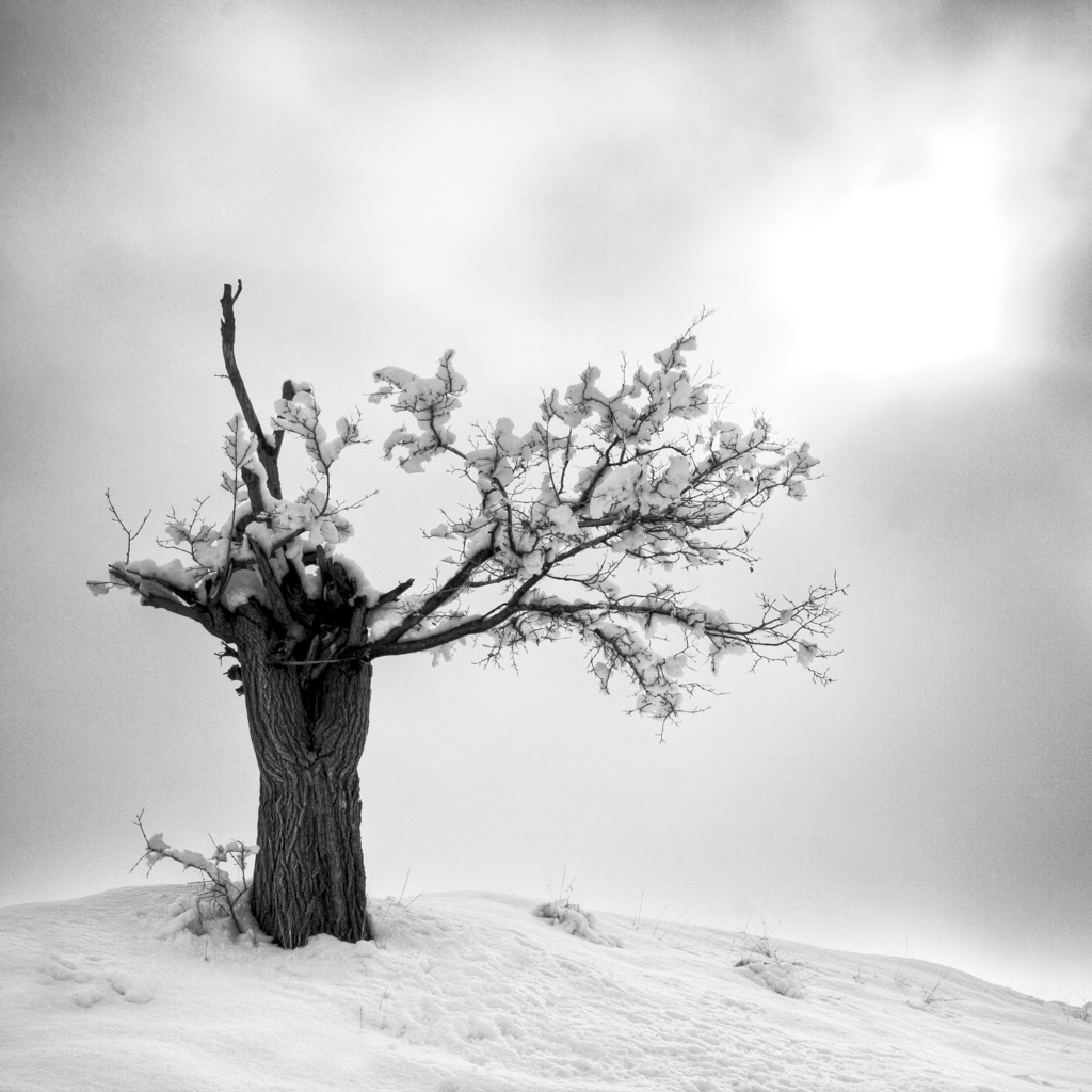 اثر بی نام از علی رنجبران اثر بی نام از علی رنجبران