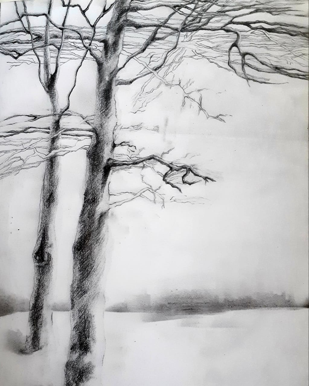 Artwork Trees Series 1 by Shokoufeh Fallah Artwork Trees Series 1 by Shokoufeh Fallah