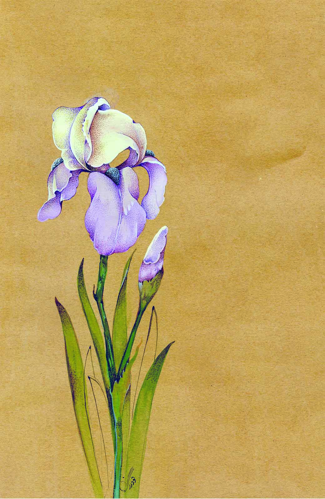 Artwork flower4 by maryam goodarzi Artwork flower4 by maryam goodarzi