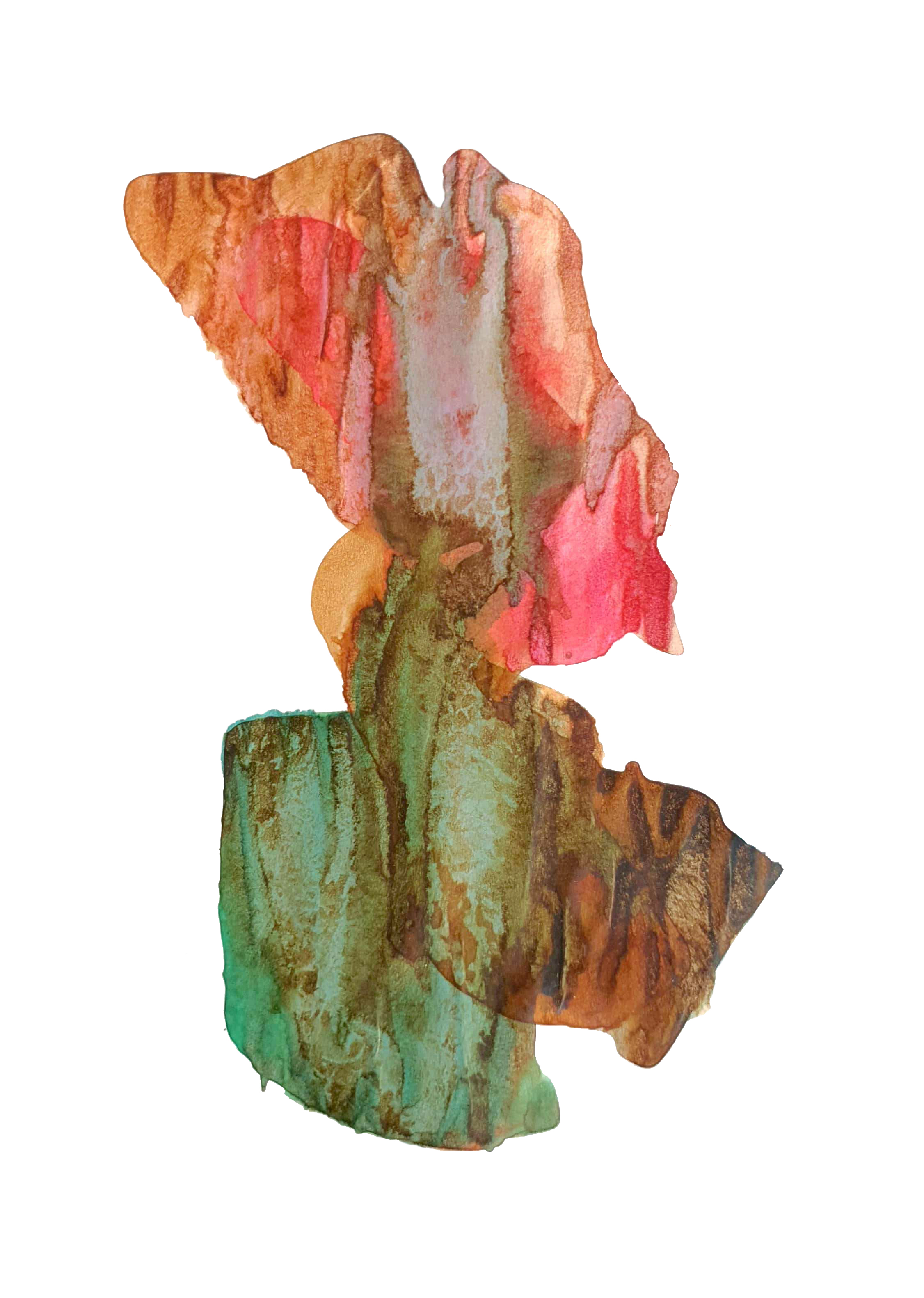 Artwork roze by Hamidreza Akbari Artwork roze by Hamidreza Akbari