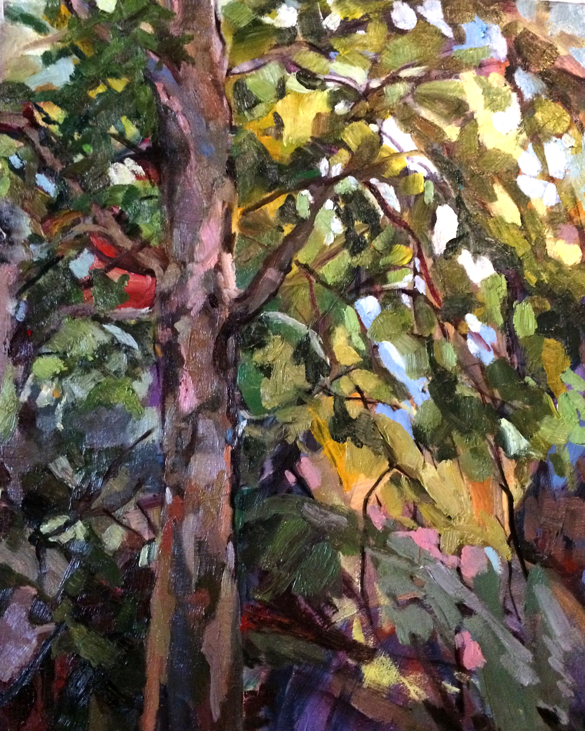 اثر صبح در پارک از یاسمن ثروتیان اثر صبح در پارک از یاسمن ثروتیان