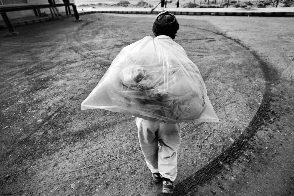 Artwork doggie life-10 by ali ranjbaran Artwork doggie life-10 by ali ranjbaran