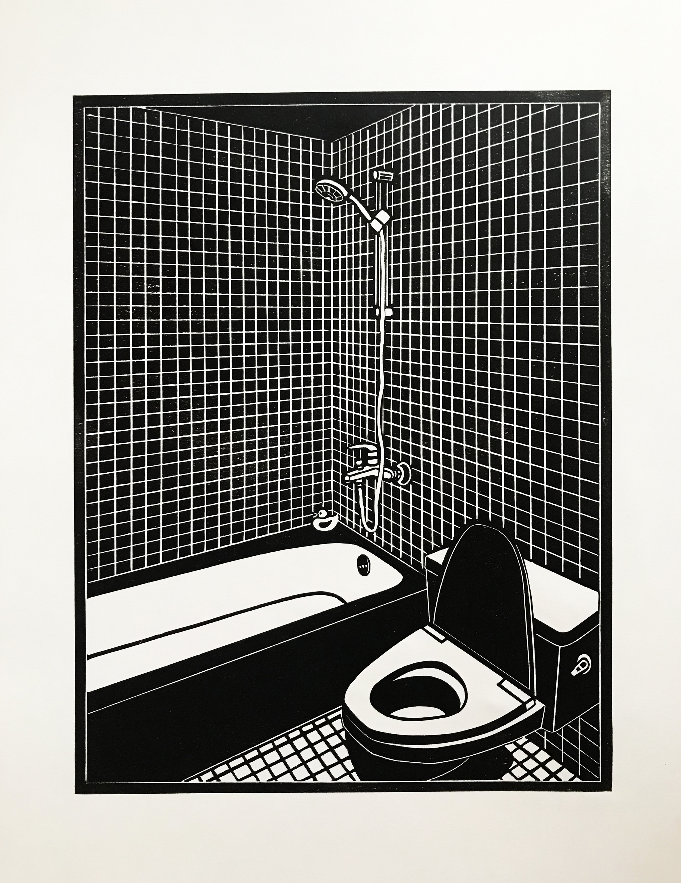 اثر اردک حافظ از سارا اسبقی اثر اردک حافظ از سارا اسبقی