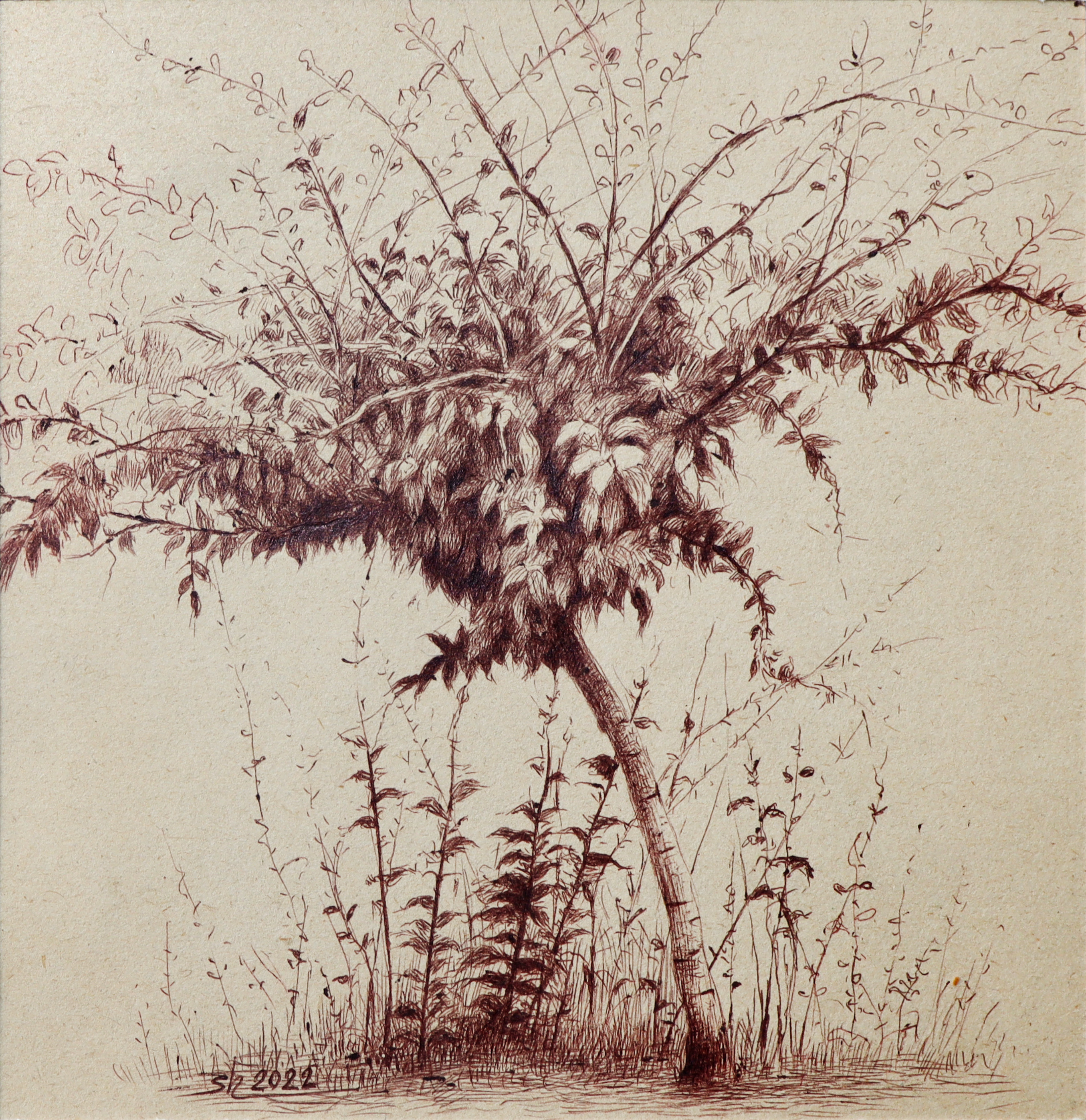 Artwork Untitled by shayesteh fakhri Artwork Untitled by shayesteh fakhri