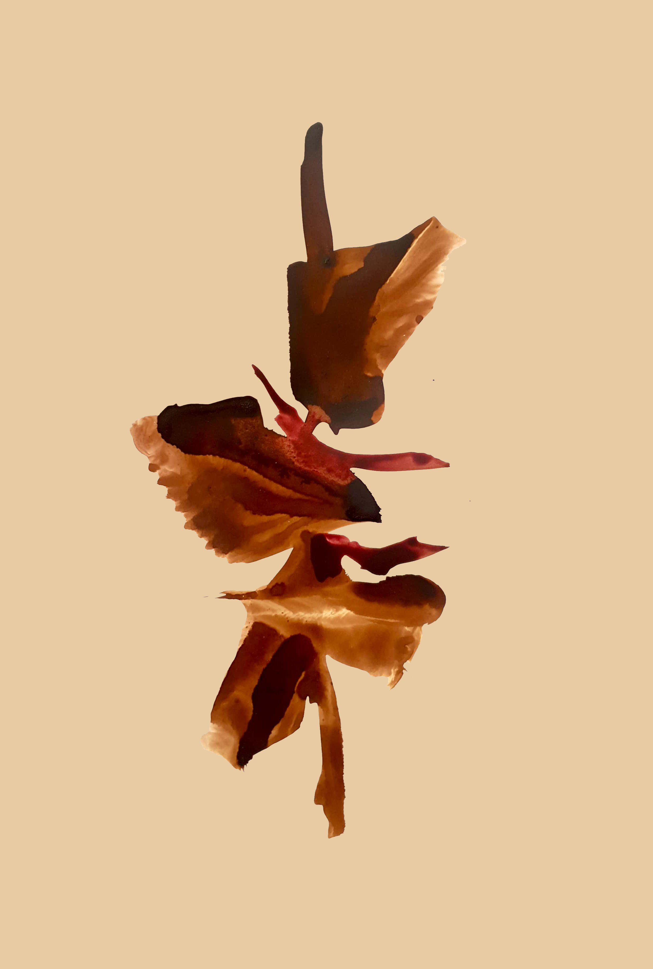 اثر بالرین از حمیدرضا اکبری اثر بالرین از حمیدرضا اکبری