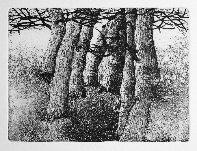 Artwork Garden of Silence 3 by Shokoufeh Fallah Artwork Garden of Silence 3 by Shokoufeh Fallah