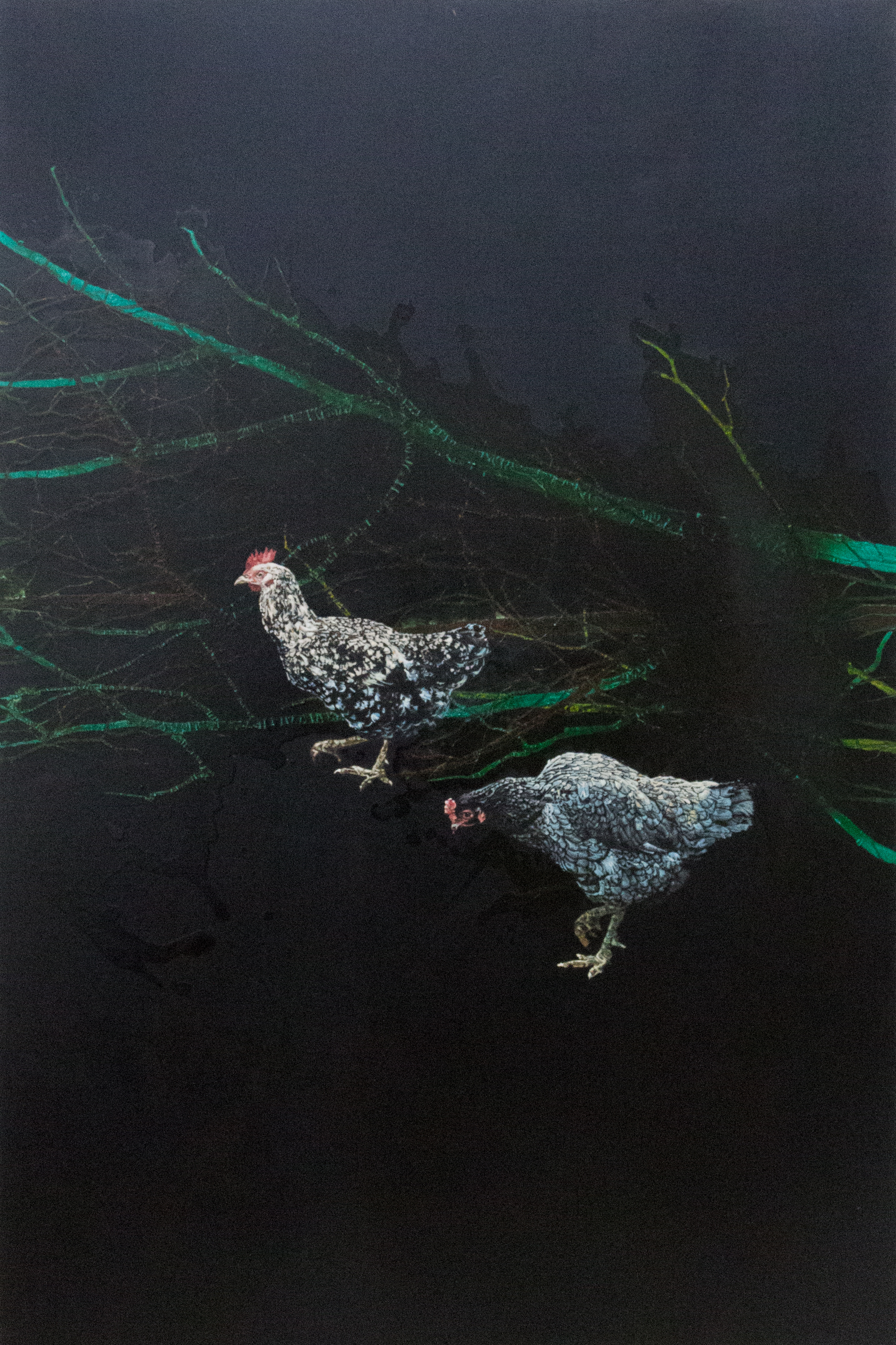 روستایی | | فروشگاه تابلو هنری روستایی | | فروشگاه تابلو هنری