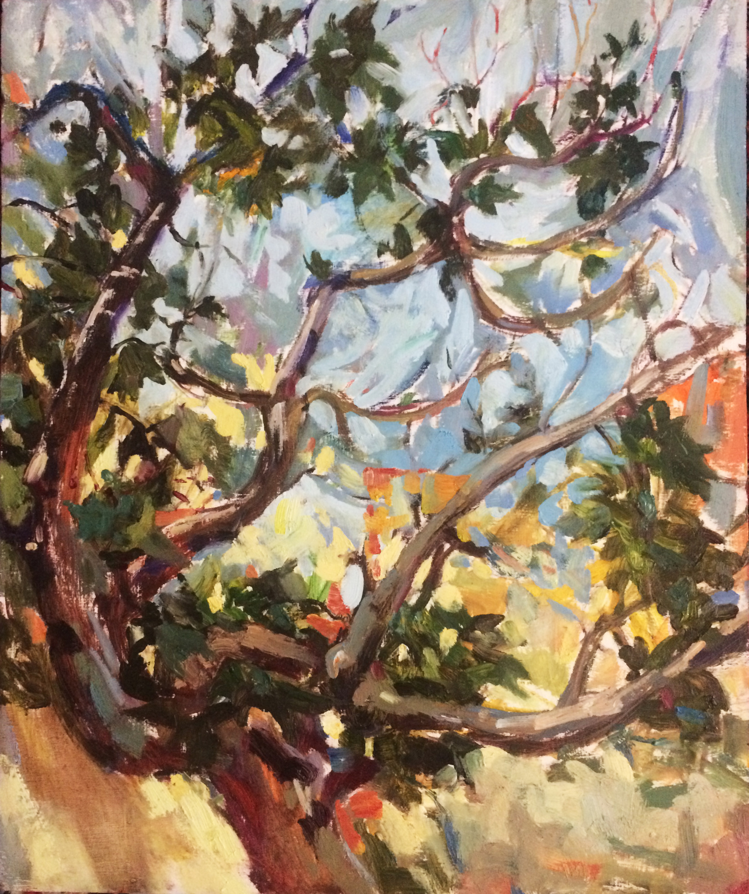Artwork Autumn fig tree by Yasaman Servatian Artwork Autumn fig tree by Yasaman Servatian