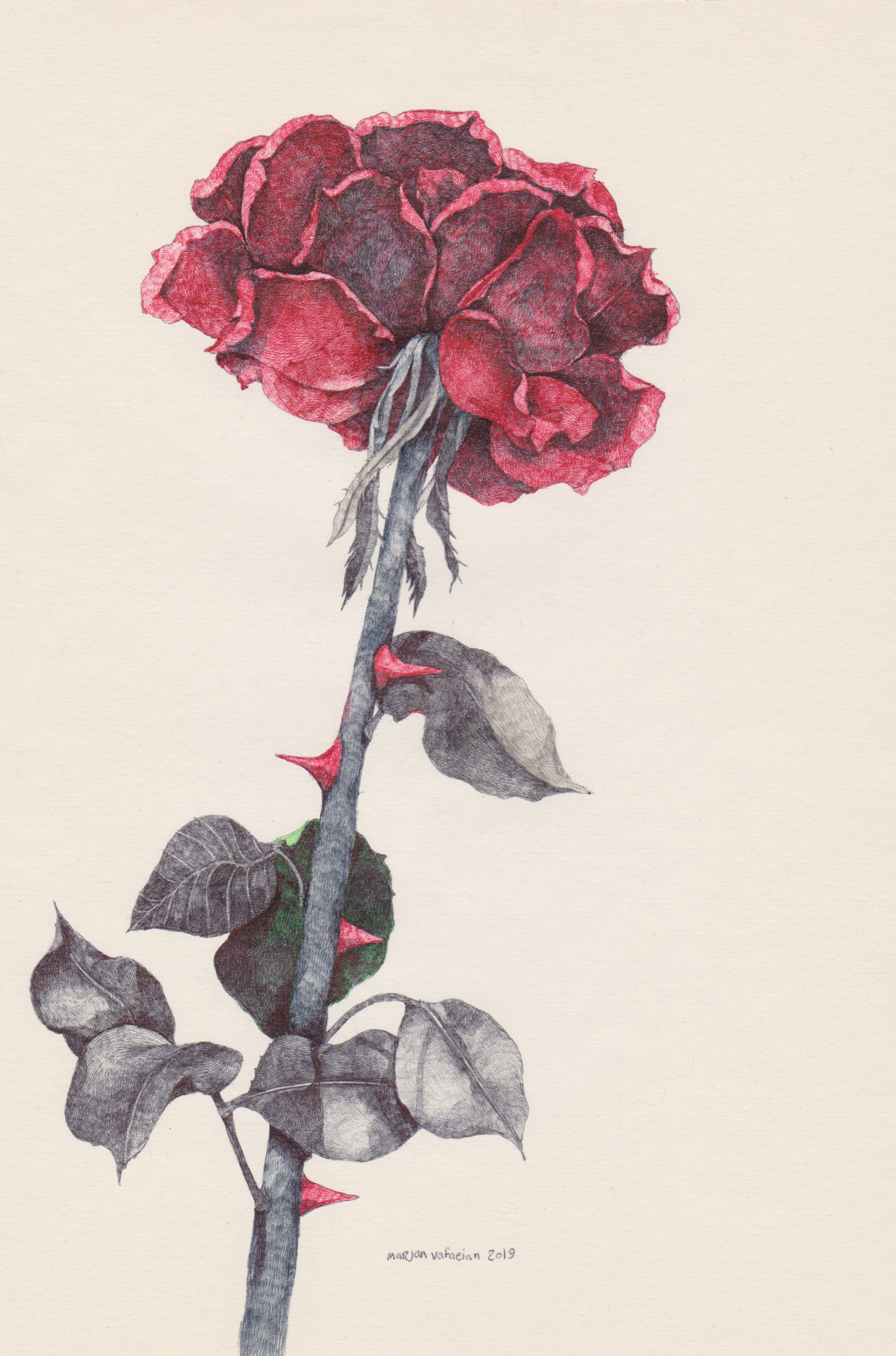 Artwork Untitled by marjan vafaeian Artwork Untitled by marjan vafaeian