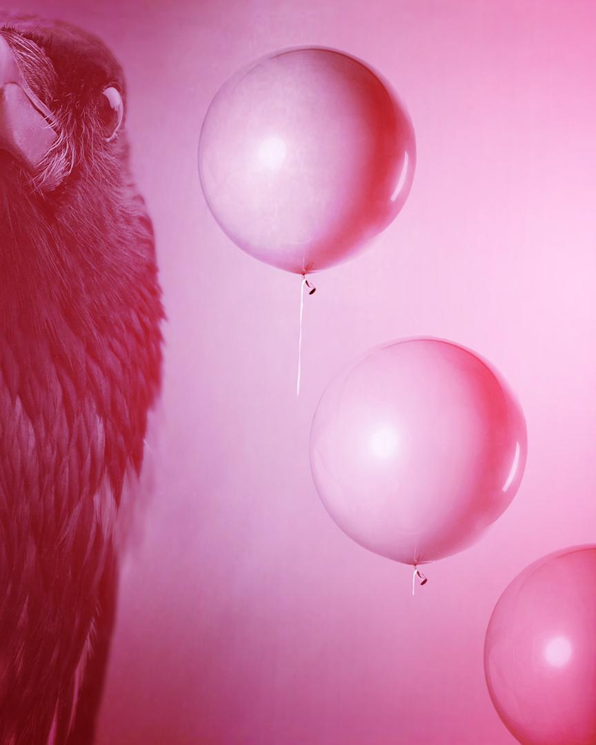 اثر انقلاب صورتی از کاترین نظری اثر انقلاب صورتی از کاترین نظری