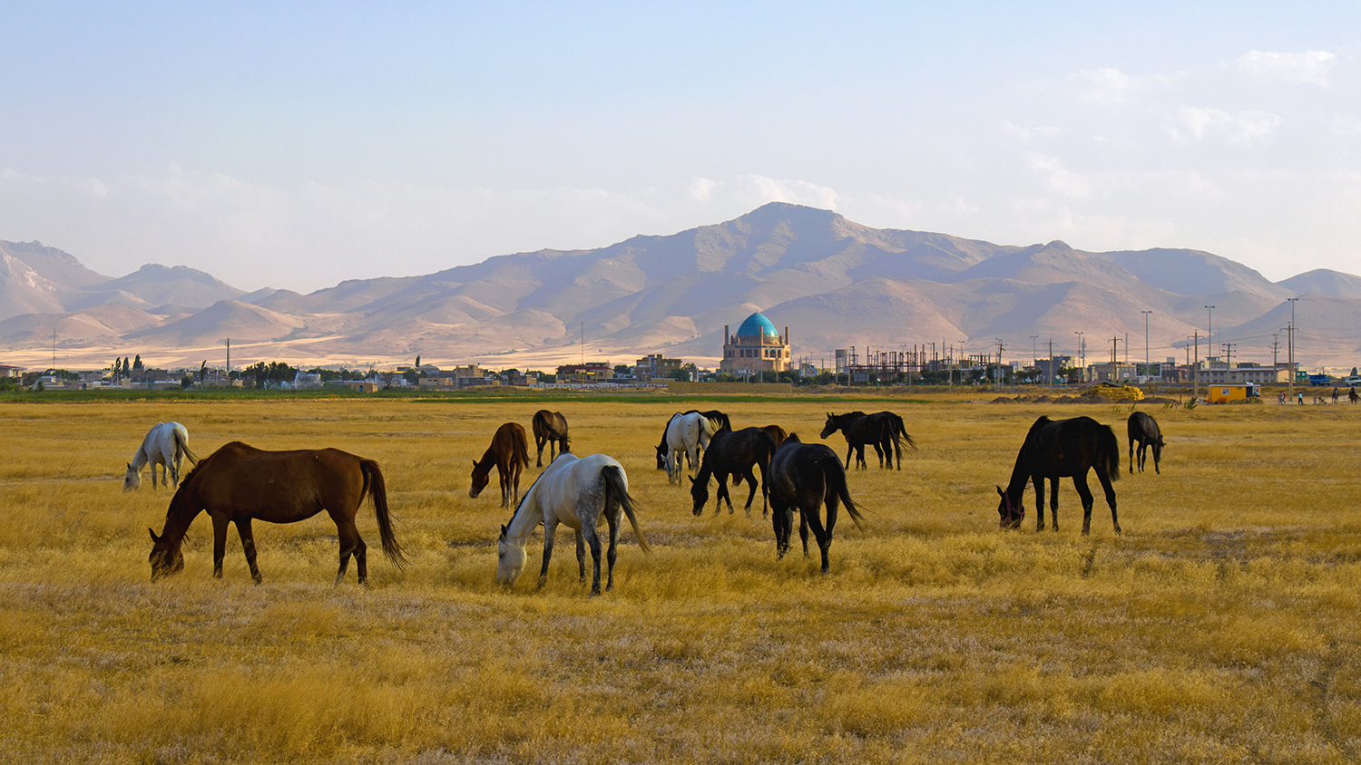 Artwork Soltaniyeh by Mehrdad Fathi Artwork Soltaniyeh by Mehrdad Fathi