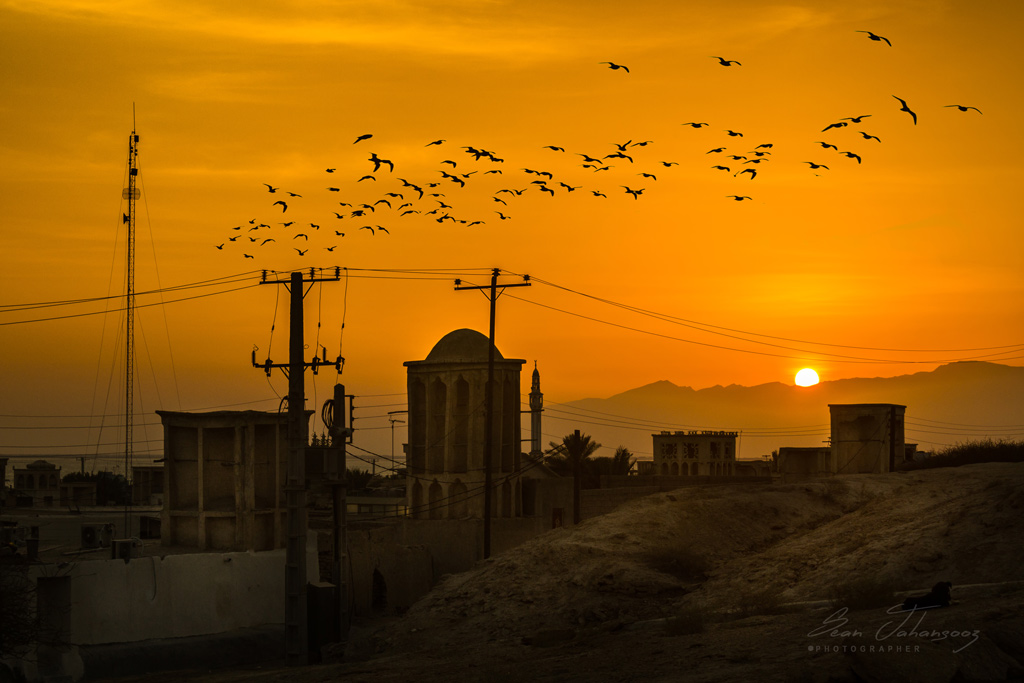 Artwork Sunset by Shahram Jahansooz Artwork Sunset by Shahram Jahansooz