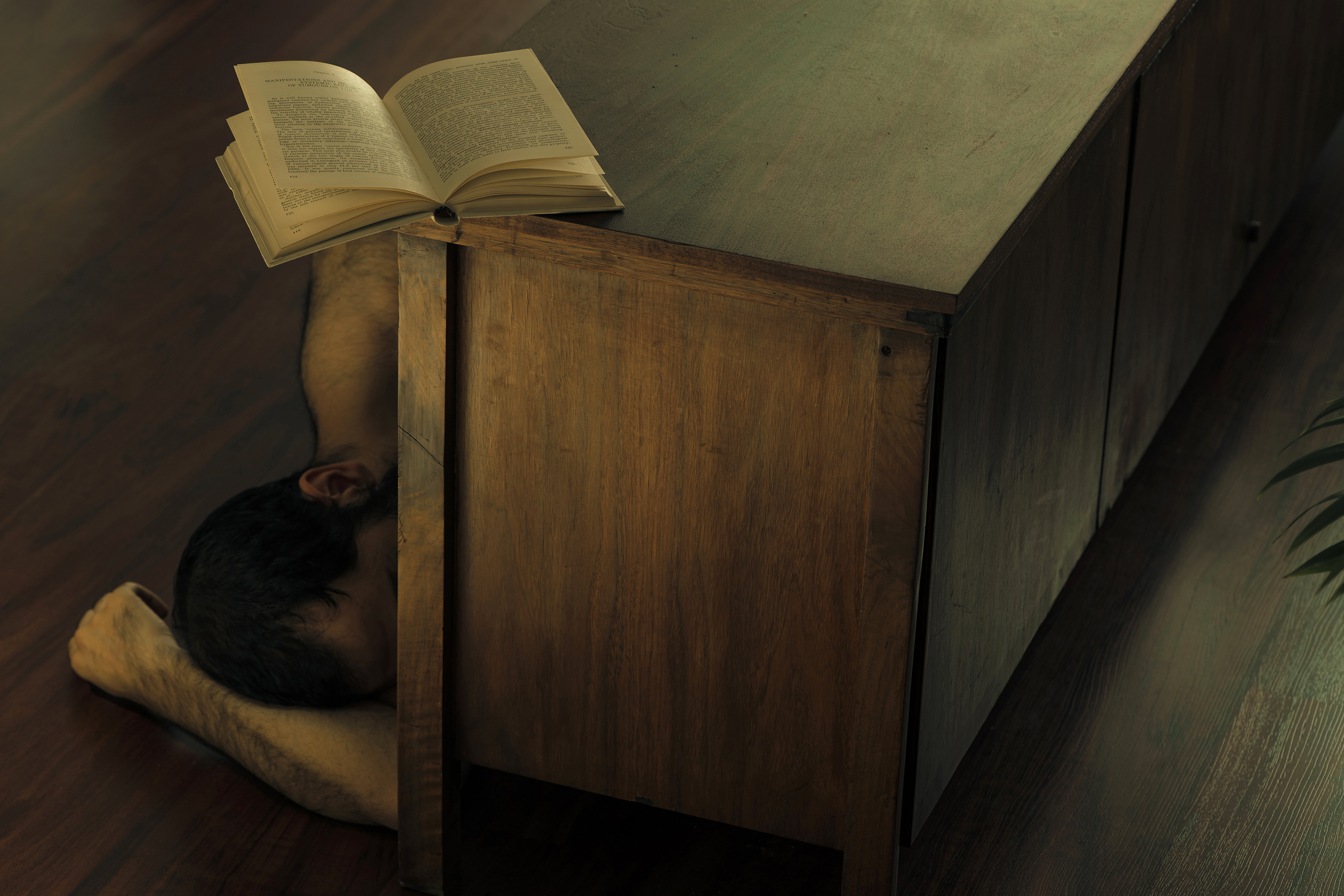 Artwork Evening Time Composition by Mehrdad Emrani Artwork Evening Time Composition by Mehrdad Emrani