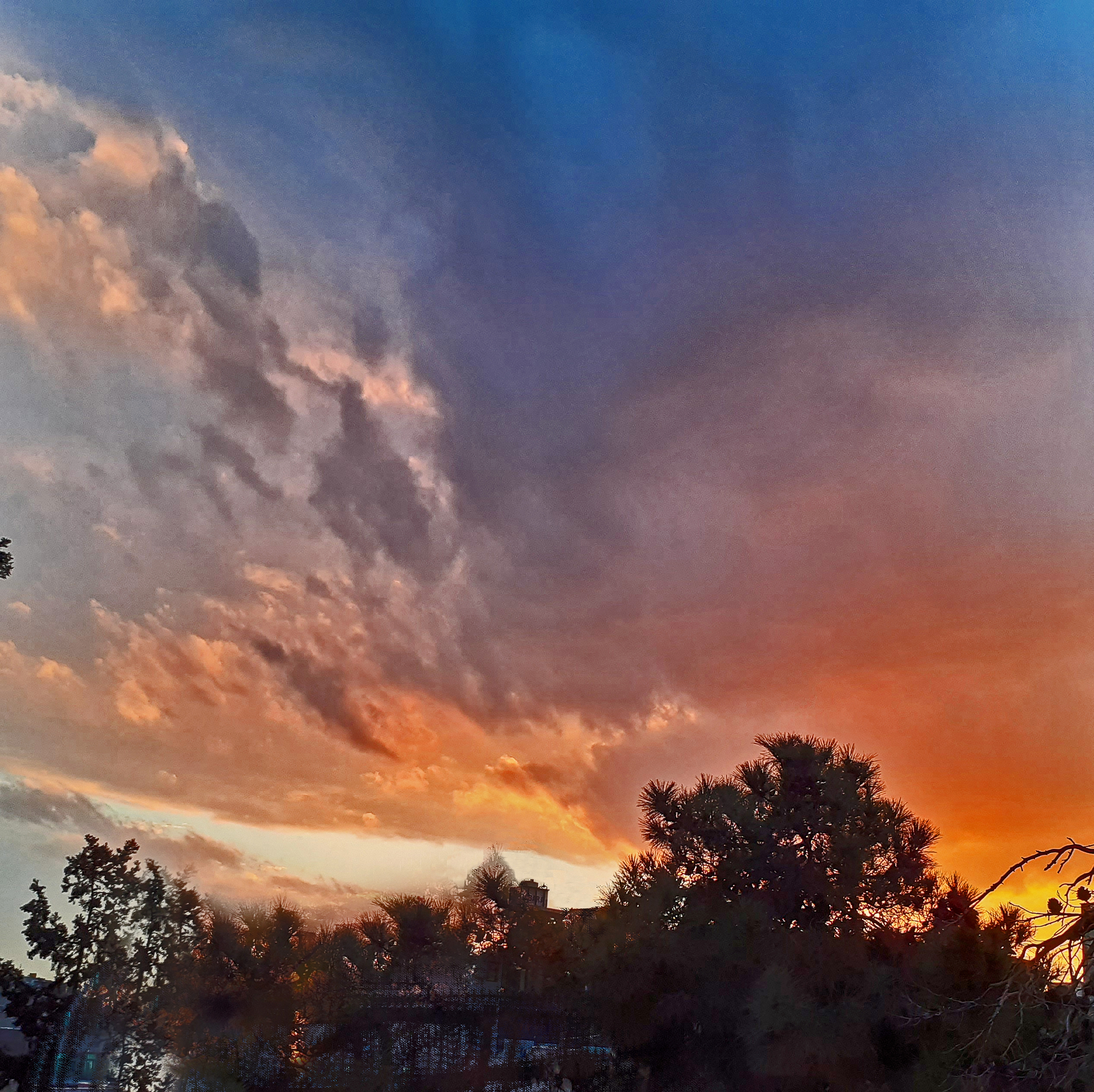 اثر غروب از فرهاد عزیزی اثر غروب از فرهاد عزیزی