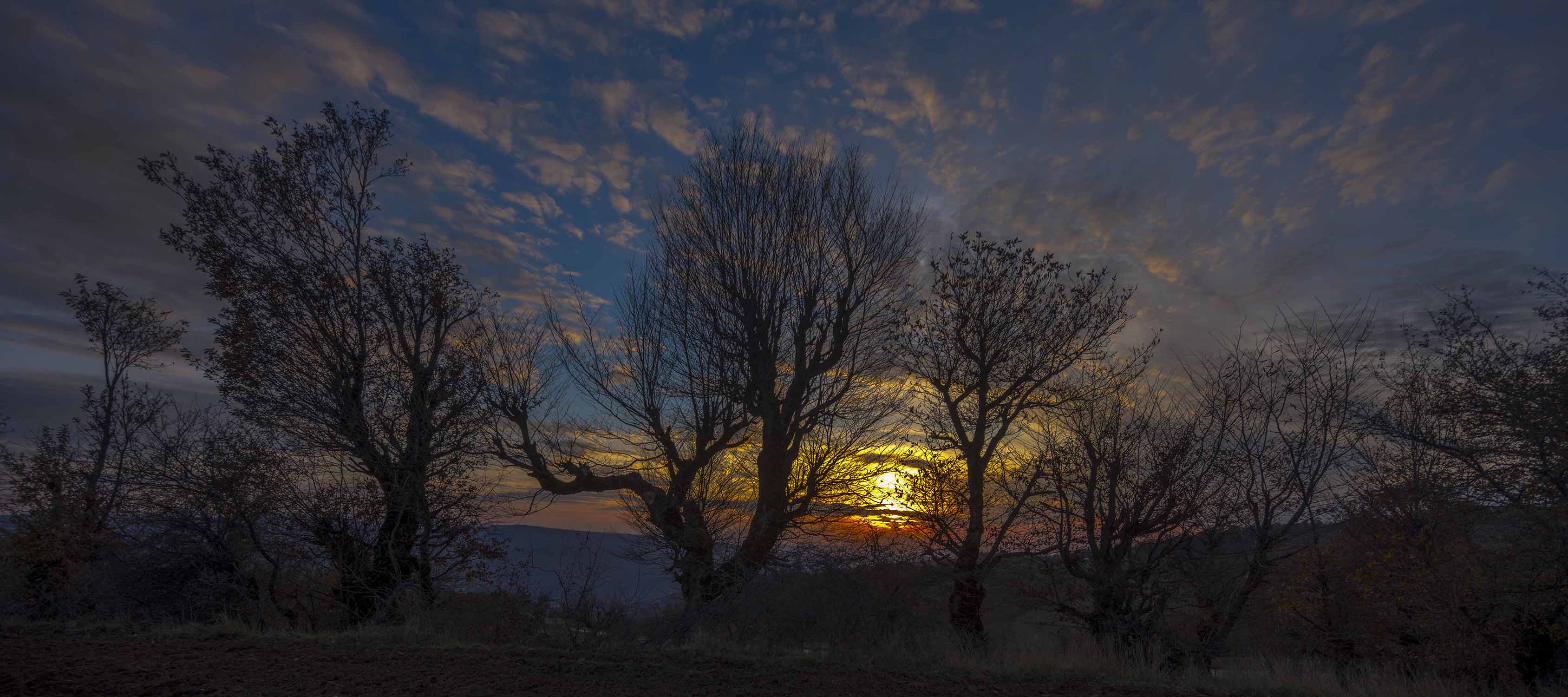 اثر پانوراما پنج از سعید محمودی ازناوه اثر پانوراما پنج از سعید محمودی ازناوه