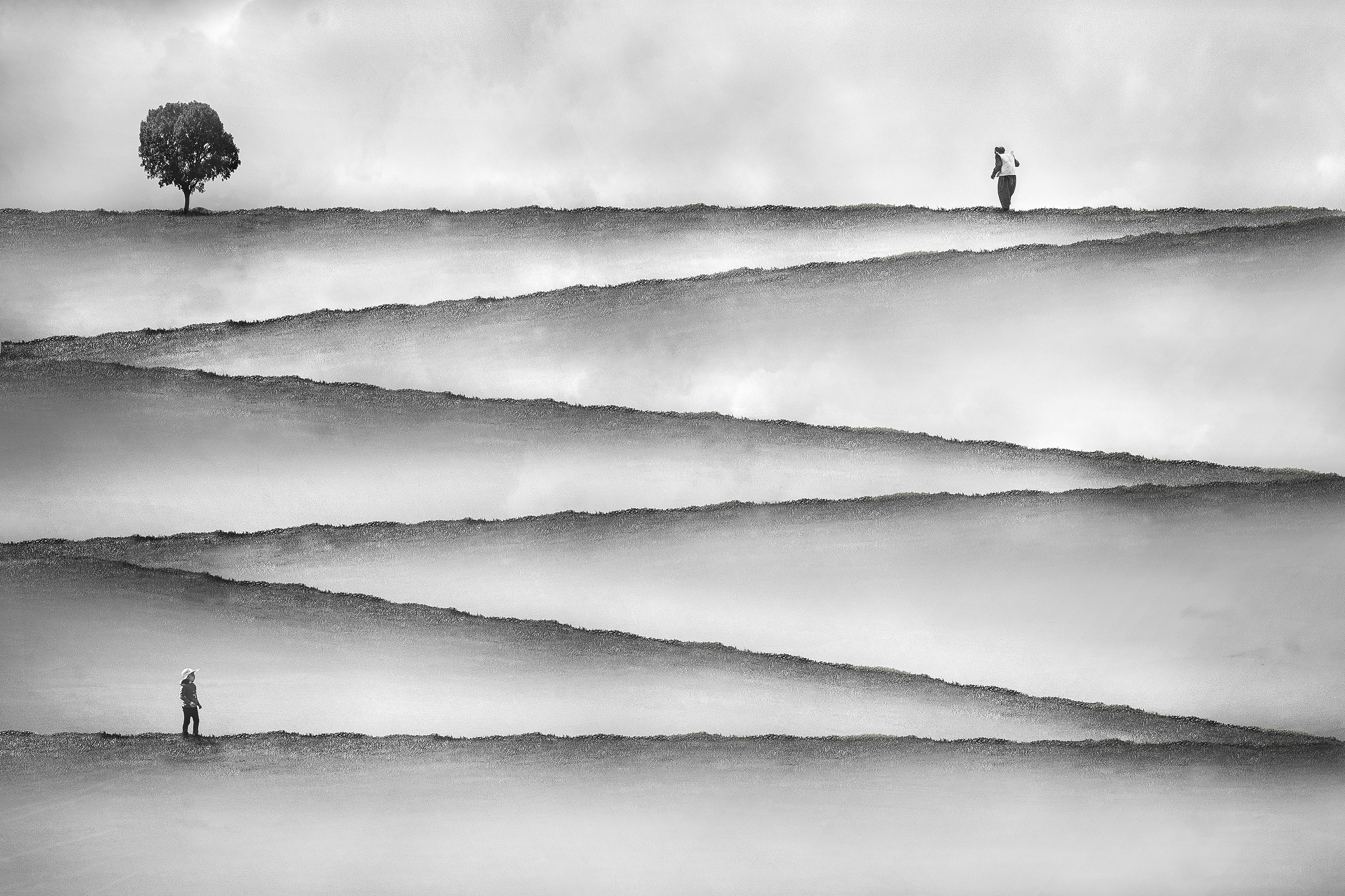 Artwork Tree of Life by pejman shojaei Artwork Tree of Life by pejman shojaei