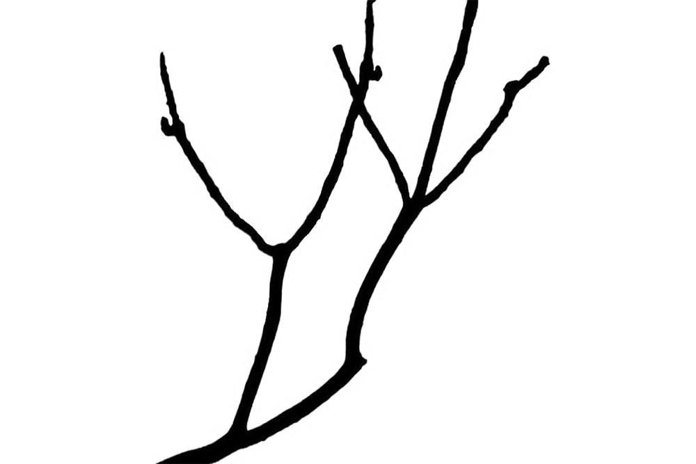 Artwork Trees 01 by Alireza Zangiabadi Artwork Trees 01 by Alireza Zangiabadi