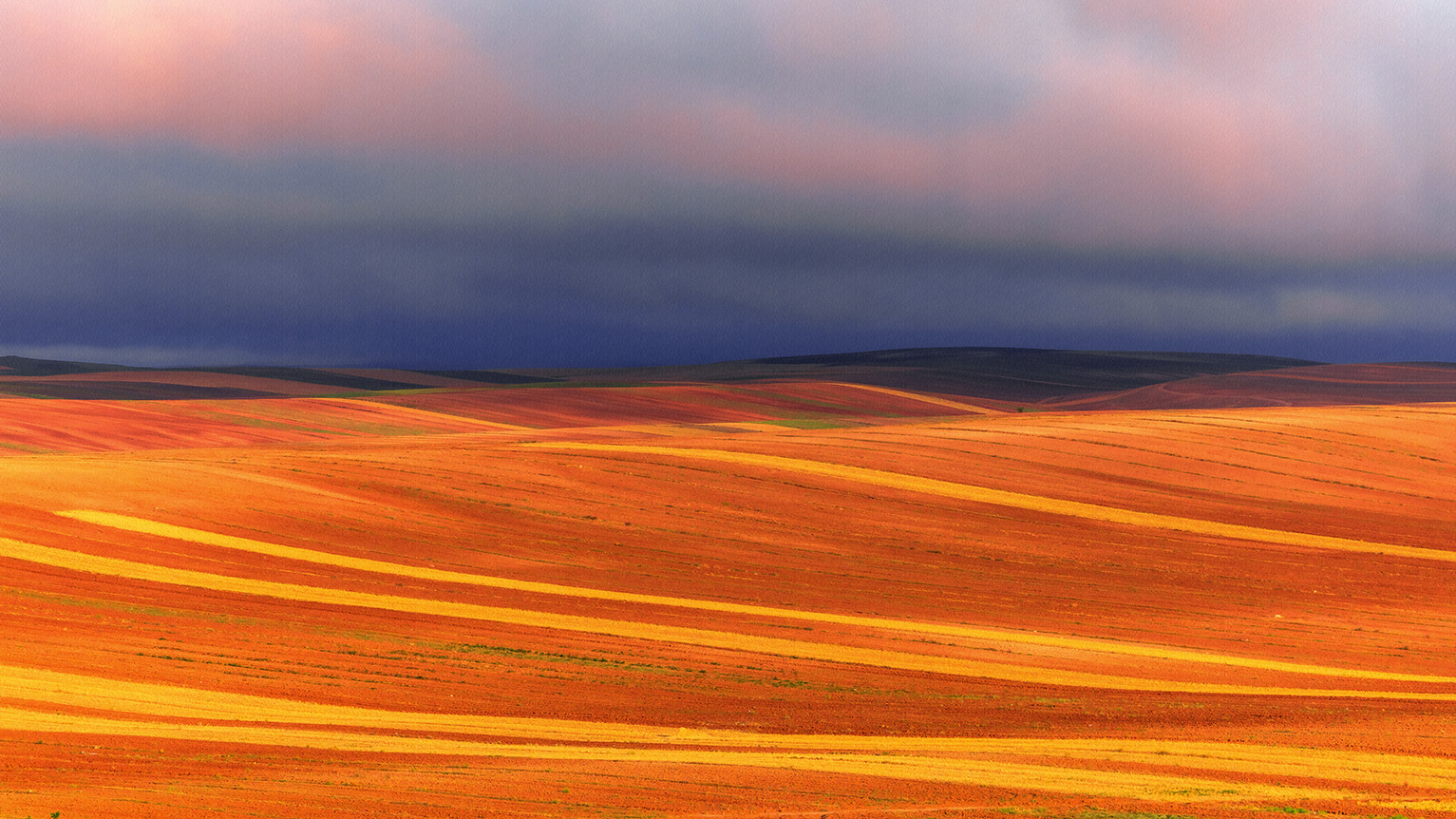 اثر از مجموعه "در مسیر رویا" شماره ۳ از مجید حجتی (ماهو) اثر از مجموعه "در مسیر رویا" شماره ۳ از مجید حجتی (ماهو)