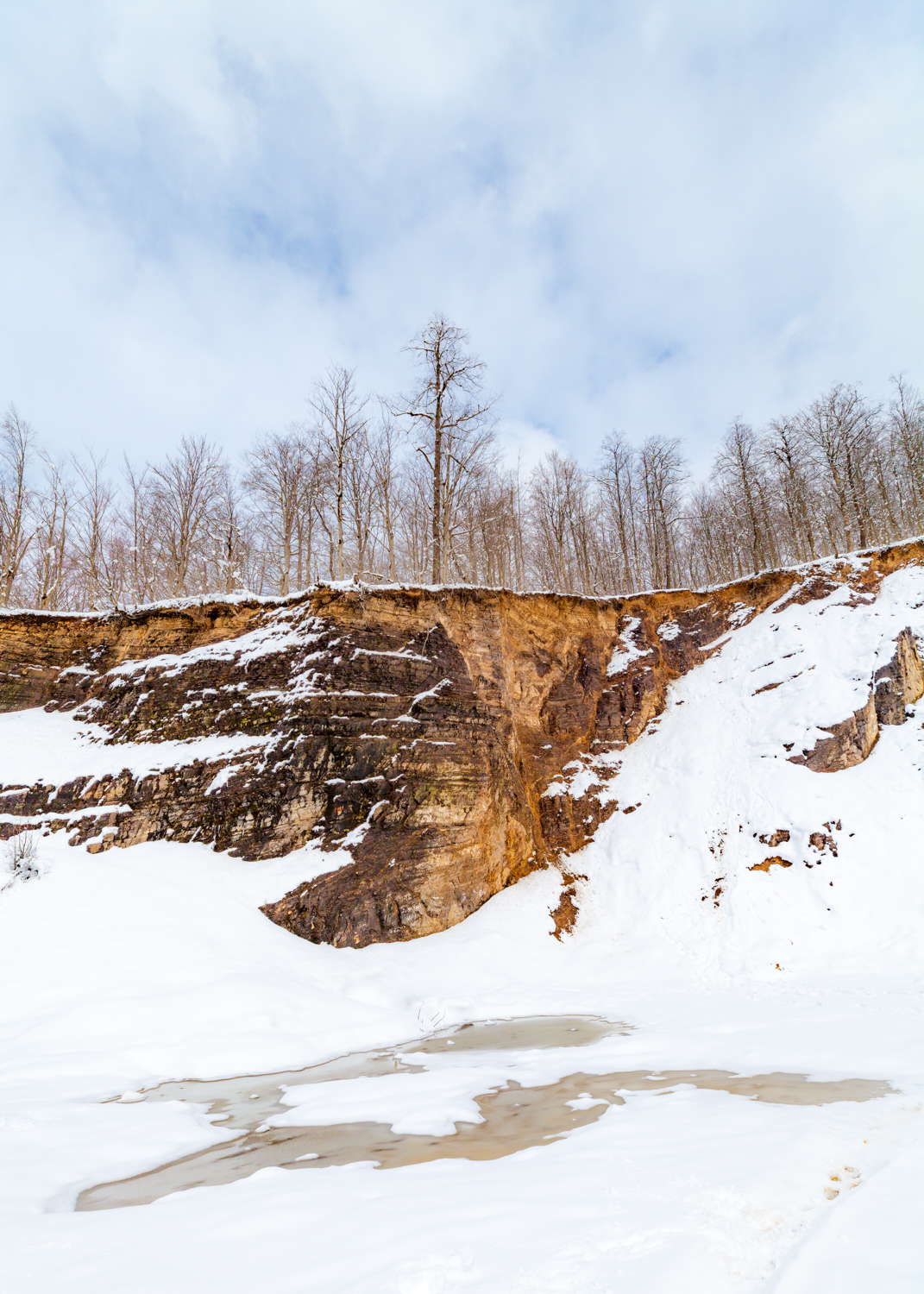 اثر جنگل و صخره از مهدی ارسطویی اثر جنگل و صخره از مهدی ارسطویی