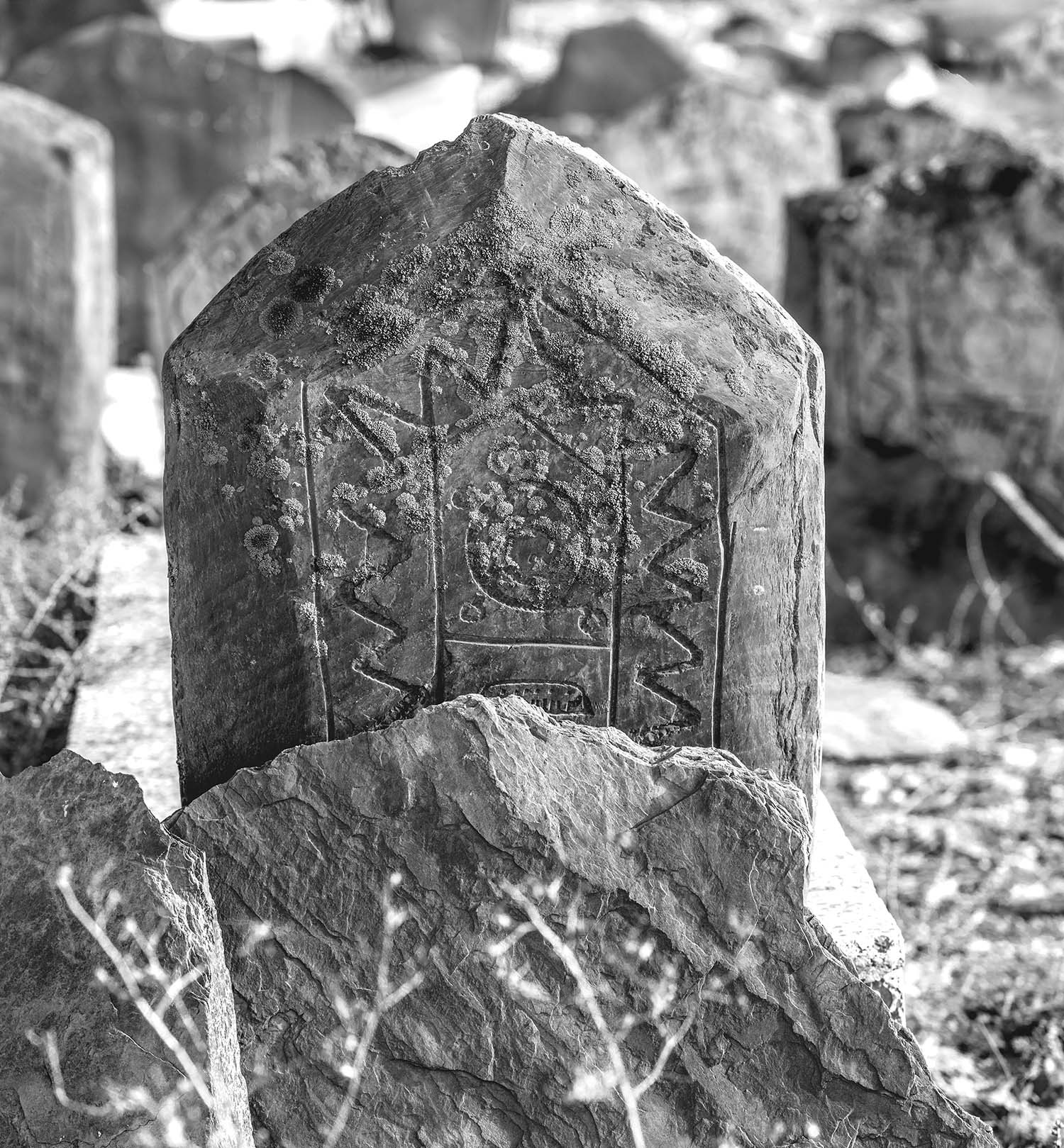 اثر مجموعه آرامستان سفید چاه پنج از سعید محمودی ازناوه اثر مجموعه آرامستان سفید چاه پنج از سعید محمودی ازناوه