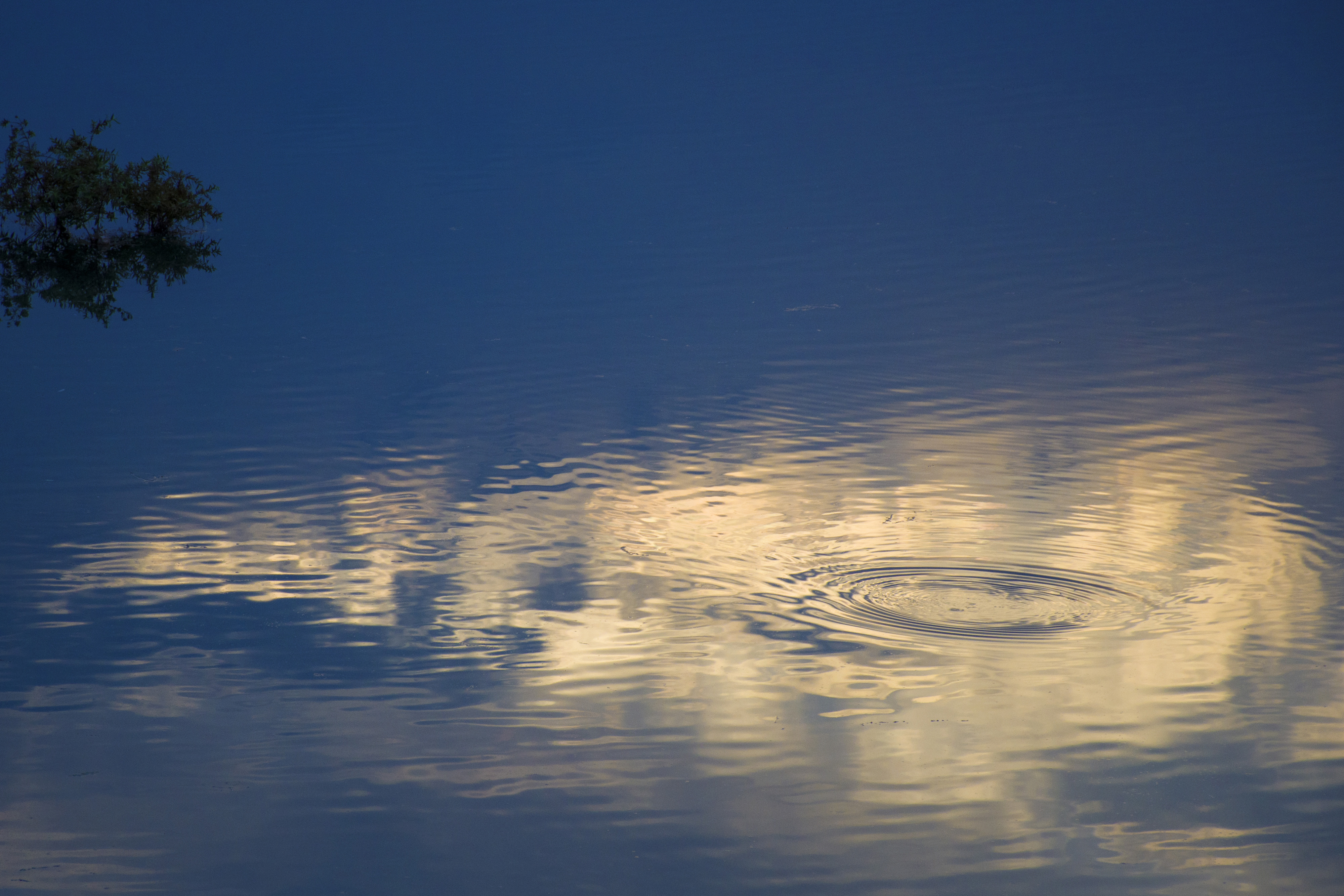 اثر عدم از میثم خالدیان اثر عدم از میثم خالدیان