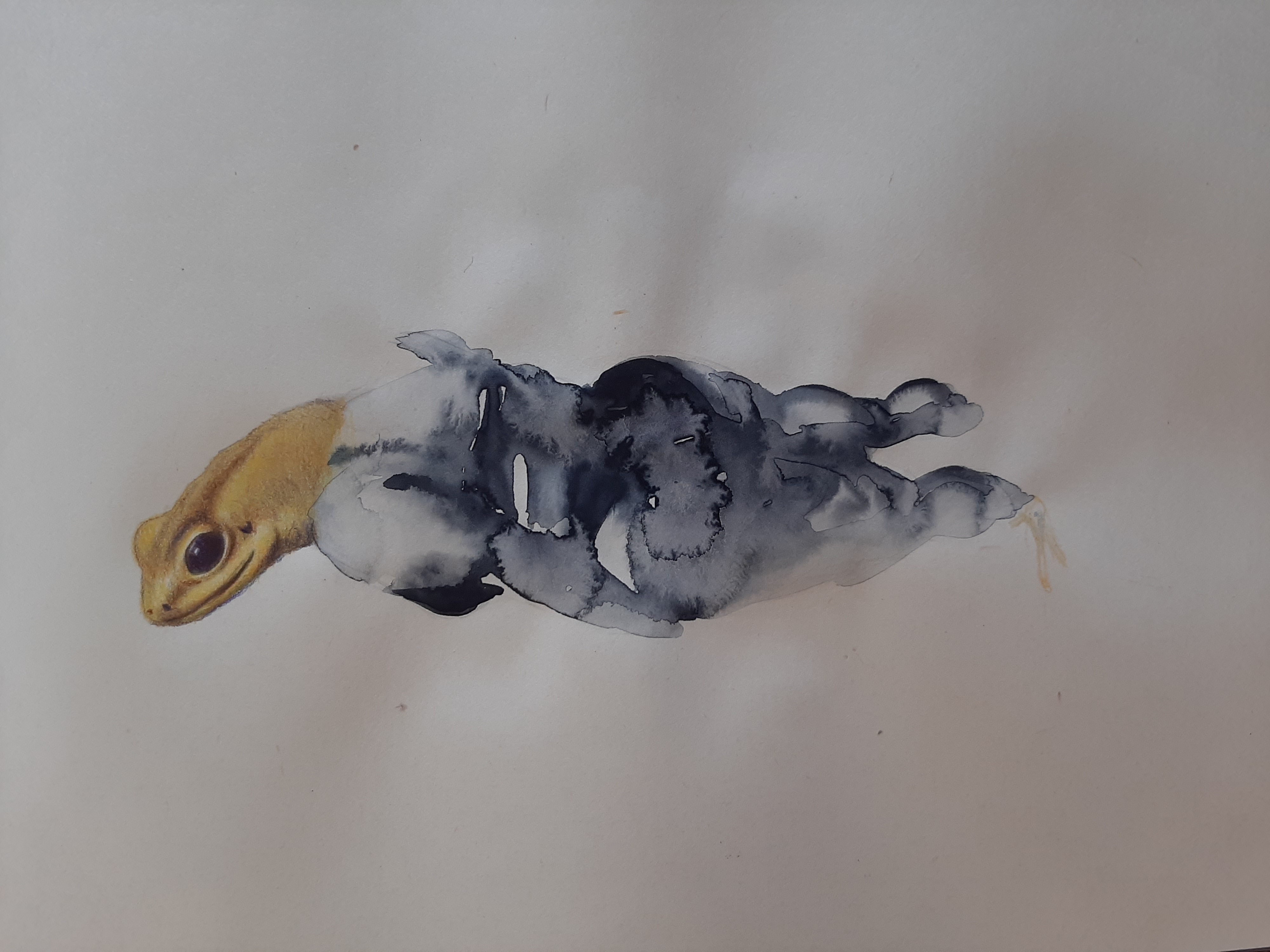 Artwork Metamorphosis by fateme sadat ahmadi Artwork Metamorphosis by fateme sadat ahmadi