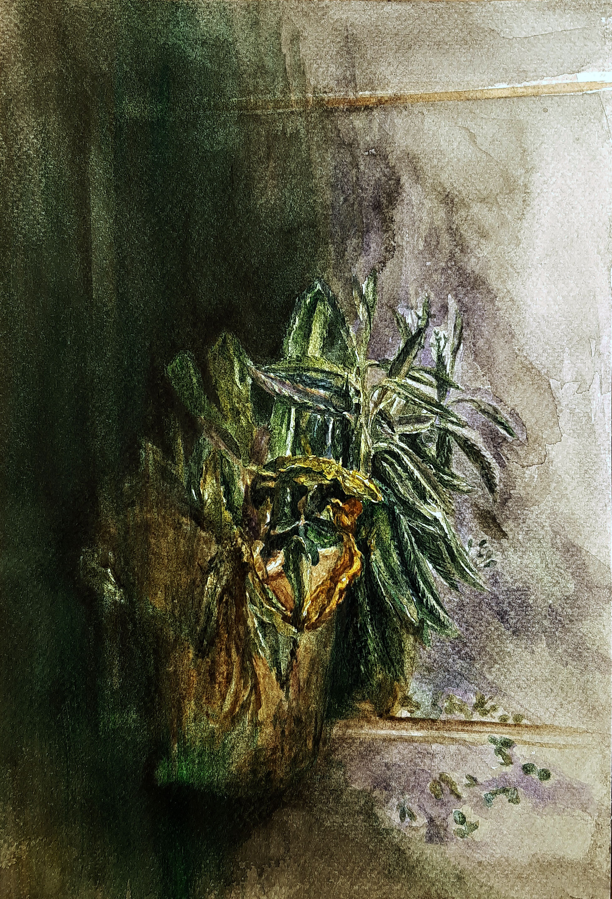 اثر نسیم شوق بر او وزید از سحر باصری سعدی اثر نسیم شوق بر او وزید از سحر باصری سعدی