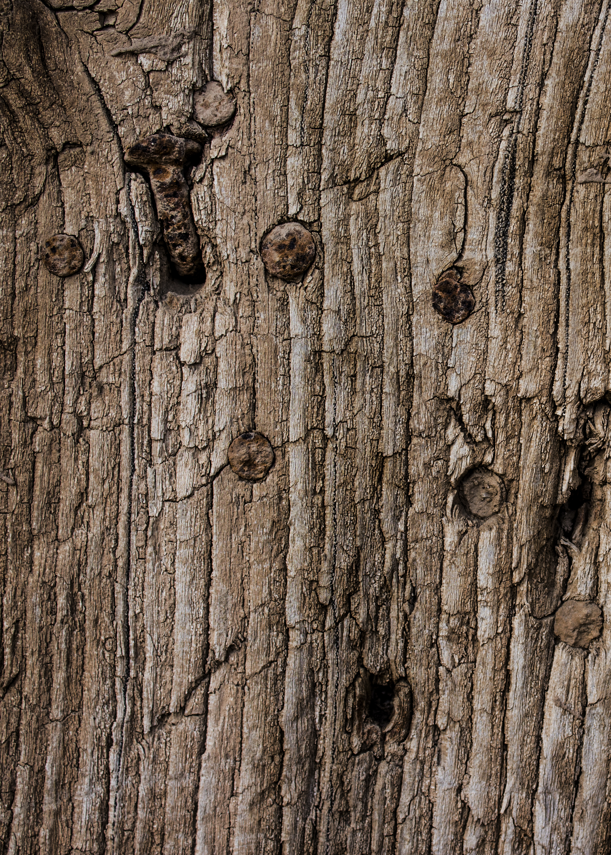 اثر تجربه ها از عابد میرمعصومی اثر تجربه ها از عابد میرمعصومی