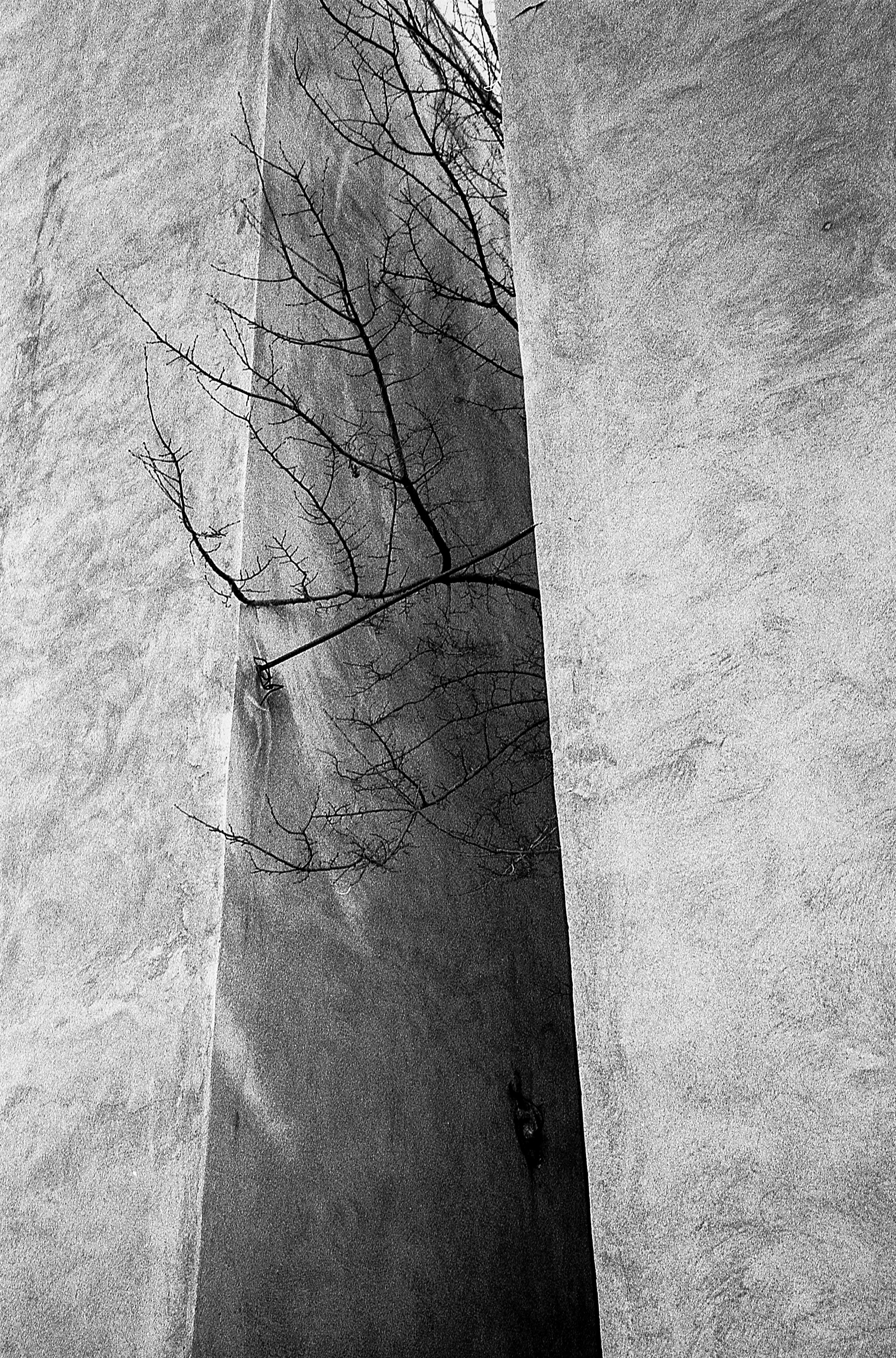 اثر بدون عنوان-12 از علی شمس اثر بدون عنوان-12 از علی شمس